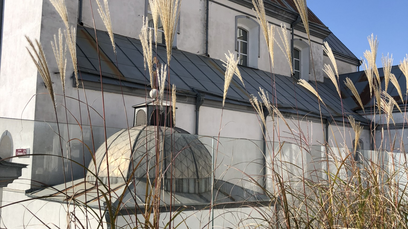 Обои крыша, недвижимость, Хаус, флерон, многолетнее растение в разрешении 1366x768