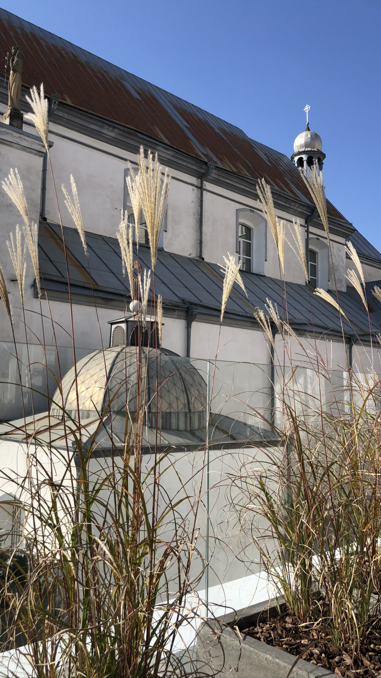 Обои крыша, недвижимость, Хаус, флерон, многолетнее растение в разрешении 750x1334