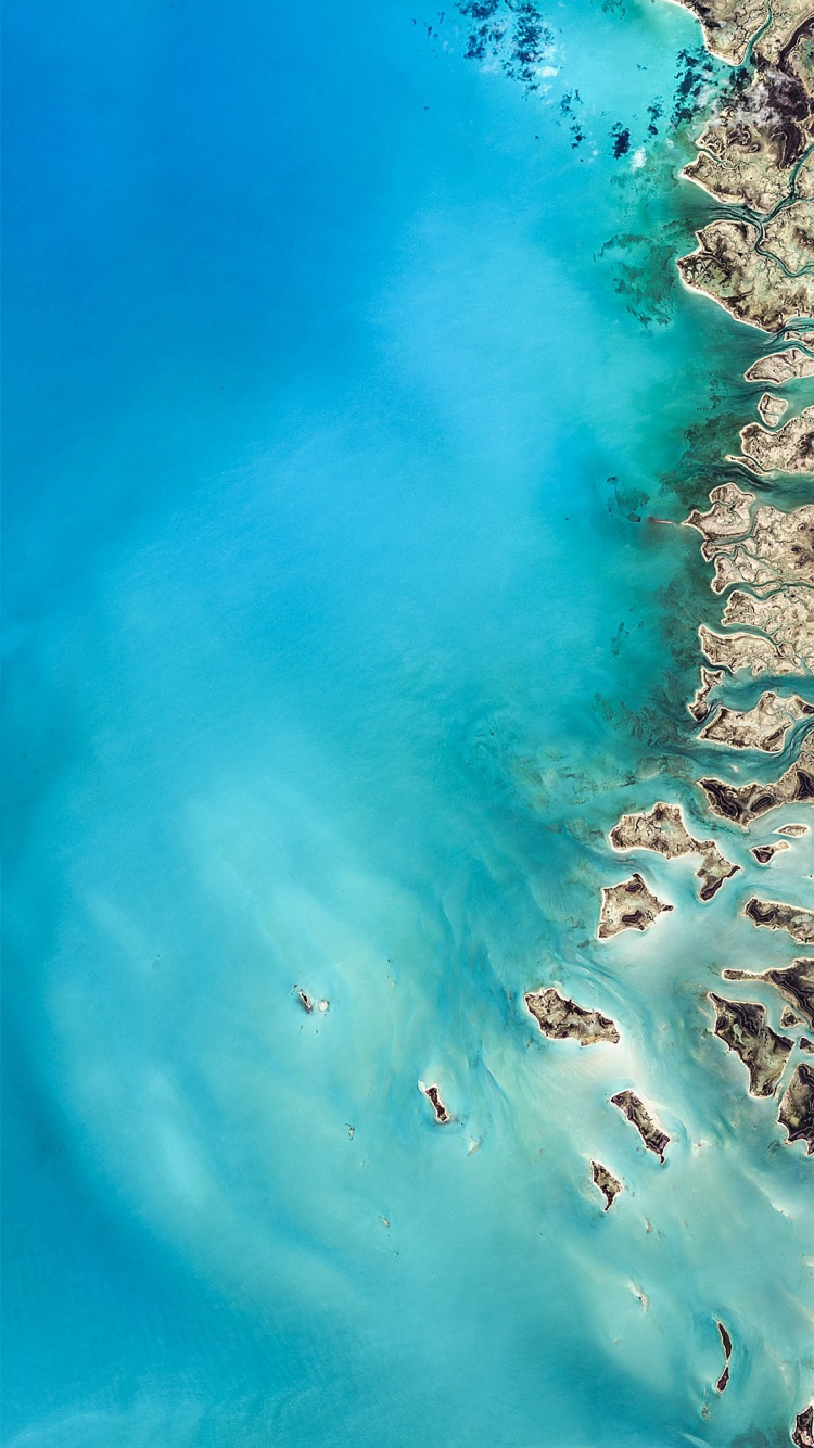 Обои asus, Asus ZenFone, Asus ZenFone 6, Для Asus ZenFone 5, андроид в разрешении 750x1334