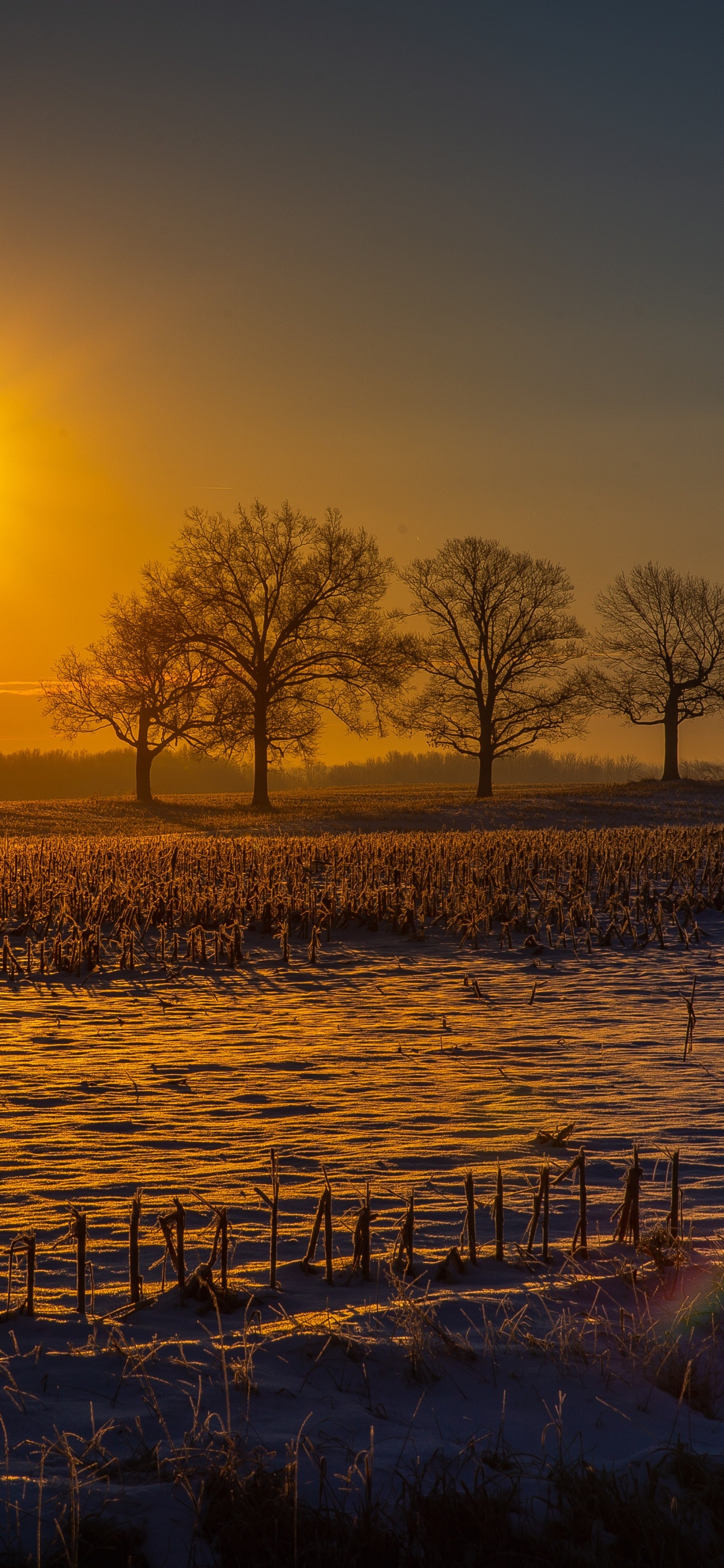Обои закат, природный ландшафт, природа, восход солнца, утро в разрешении 1242x2688