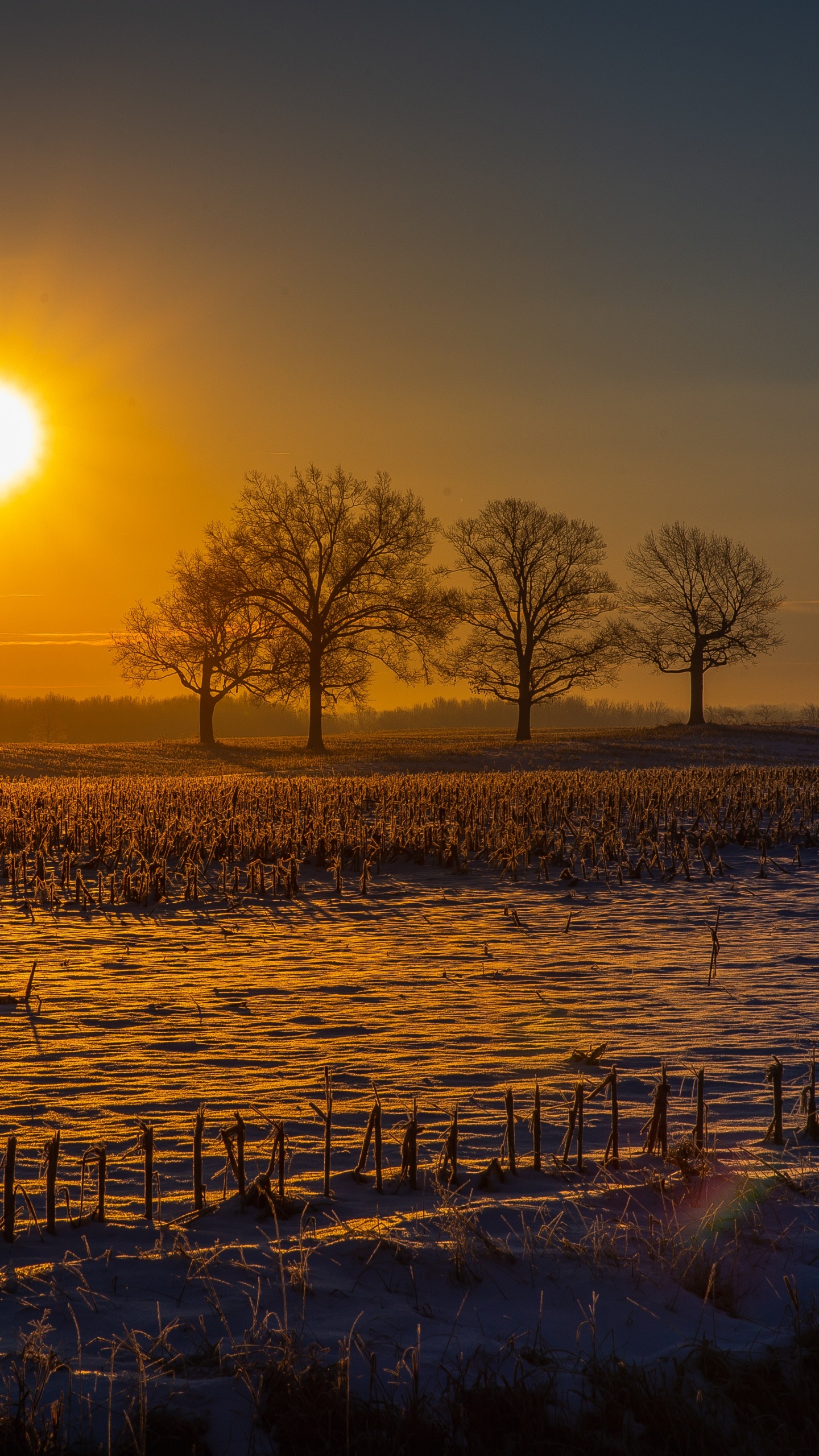Обои закат, природный ландшафт, природа, восход солнца, утро в разрешении 1440x2560