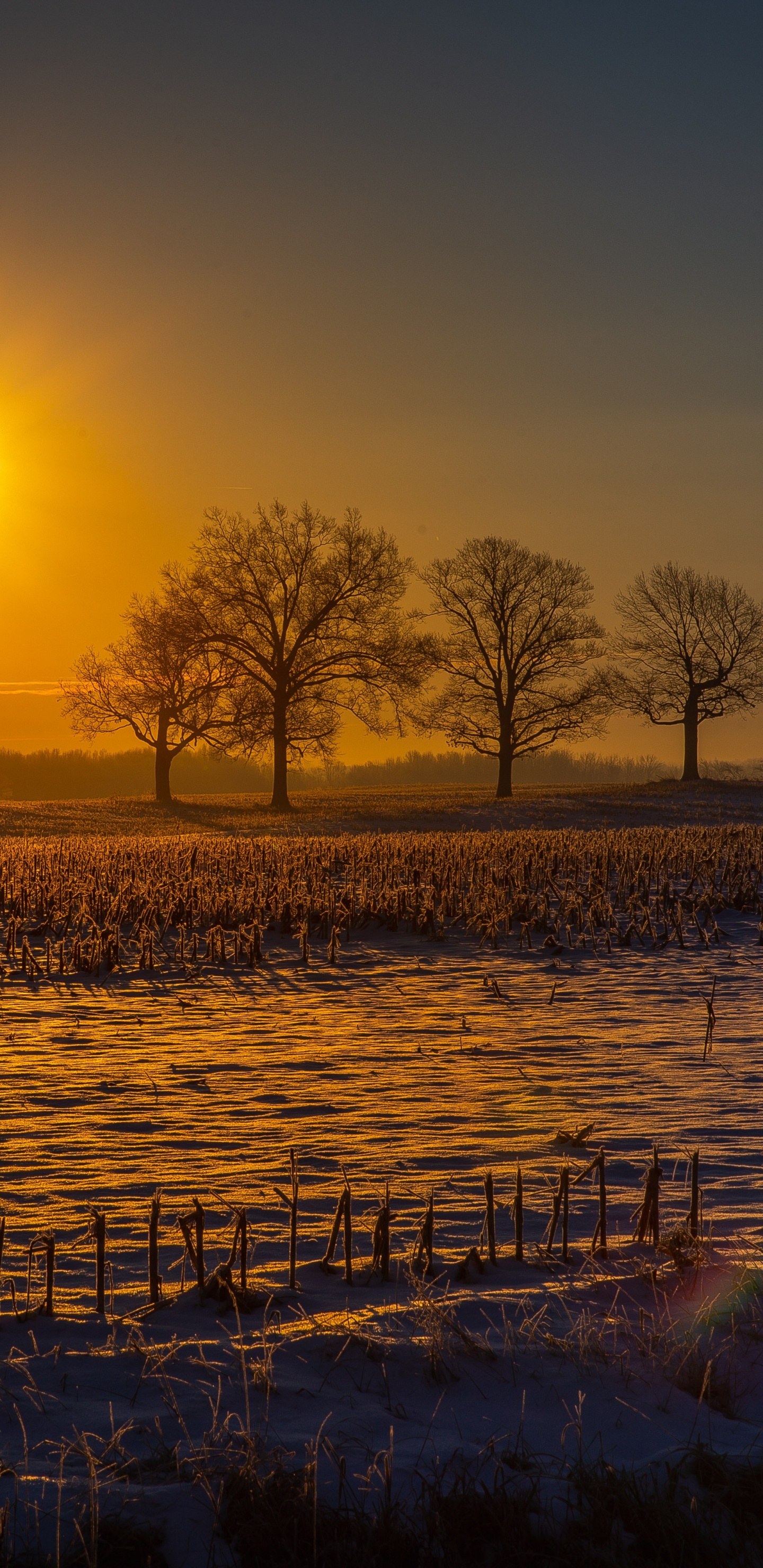 Обои закат, природный ландшафт, природа, восход солнца, утро в разрешении 1440x2960