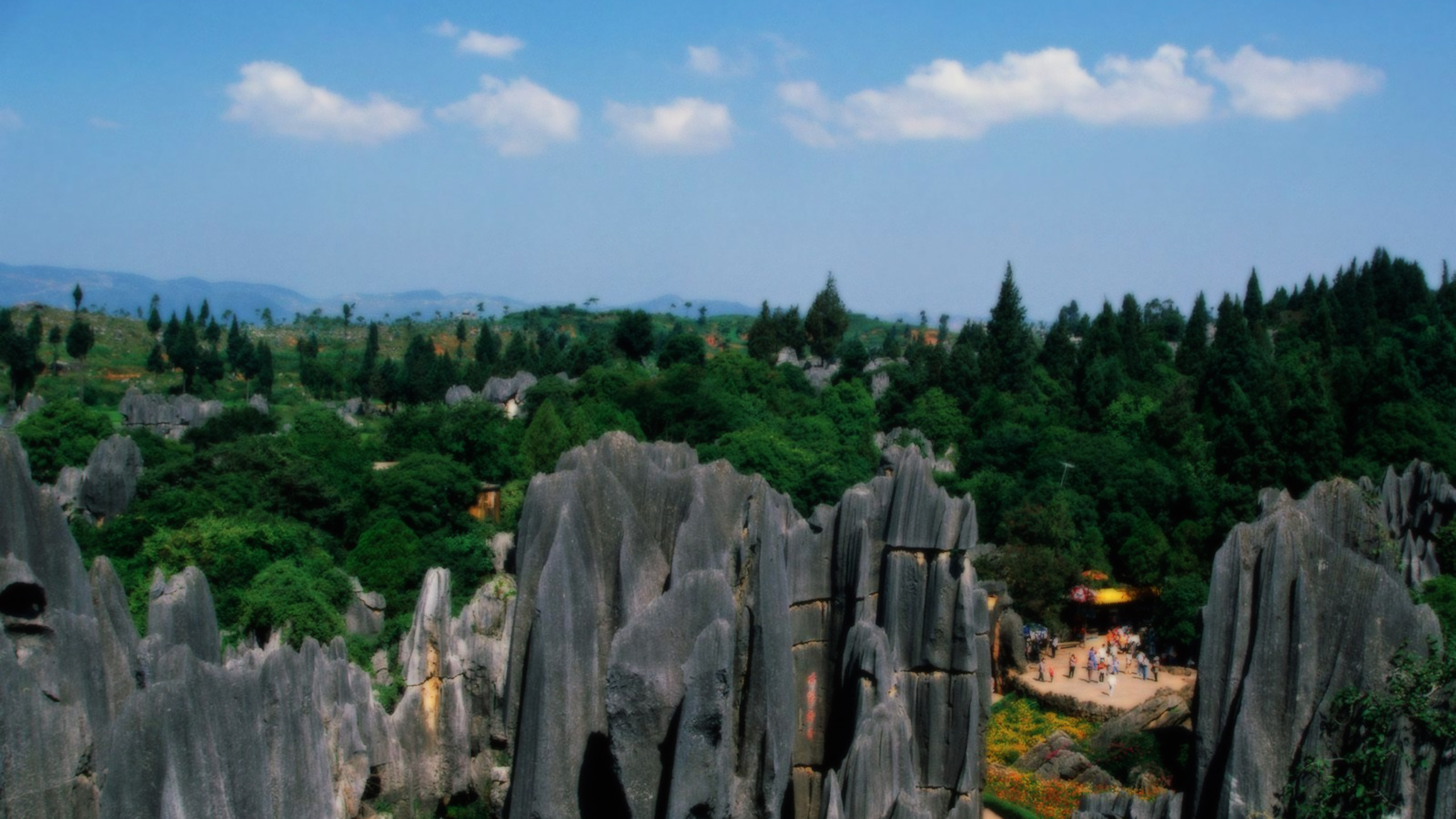 Обои растительность, рок, биом, дерево, растение в разрешении 2560x1440