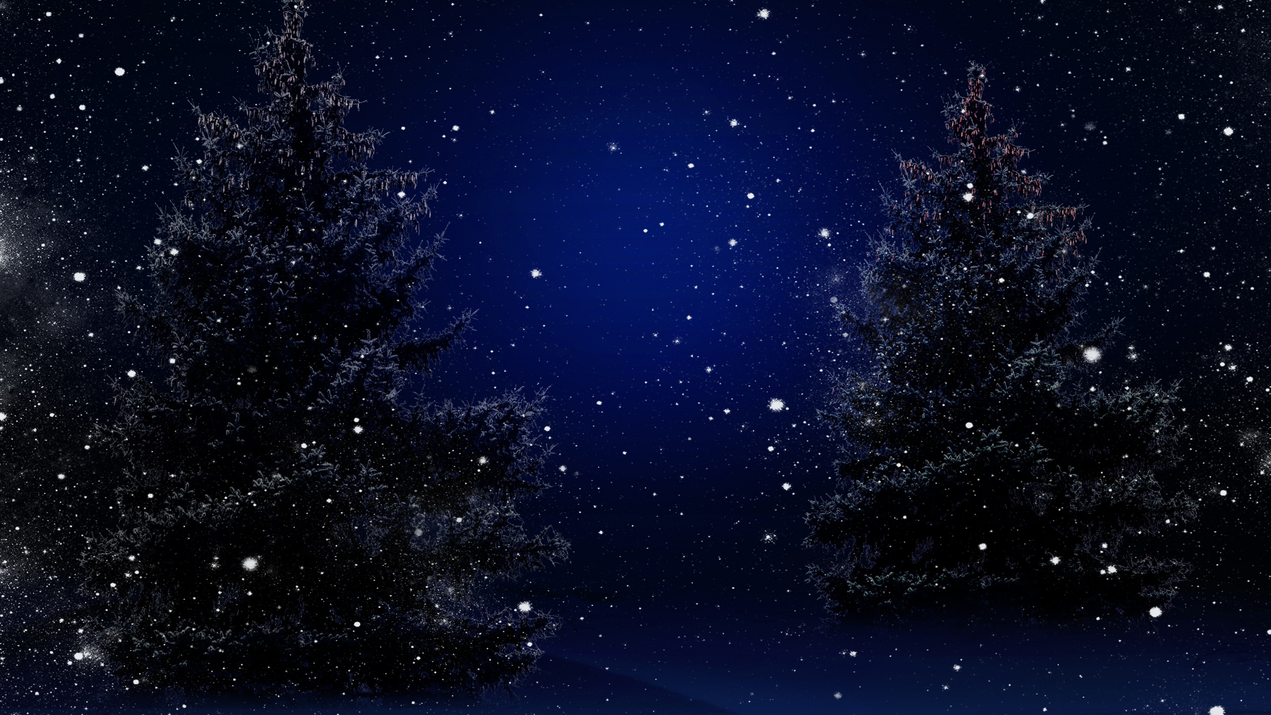 Обои Рождественский день, Новый год, елка, атмосфера, синий в разрешении 2560x1440