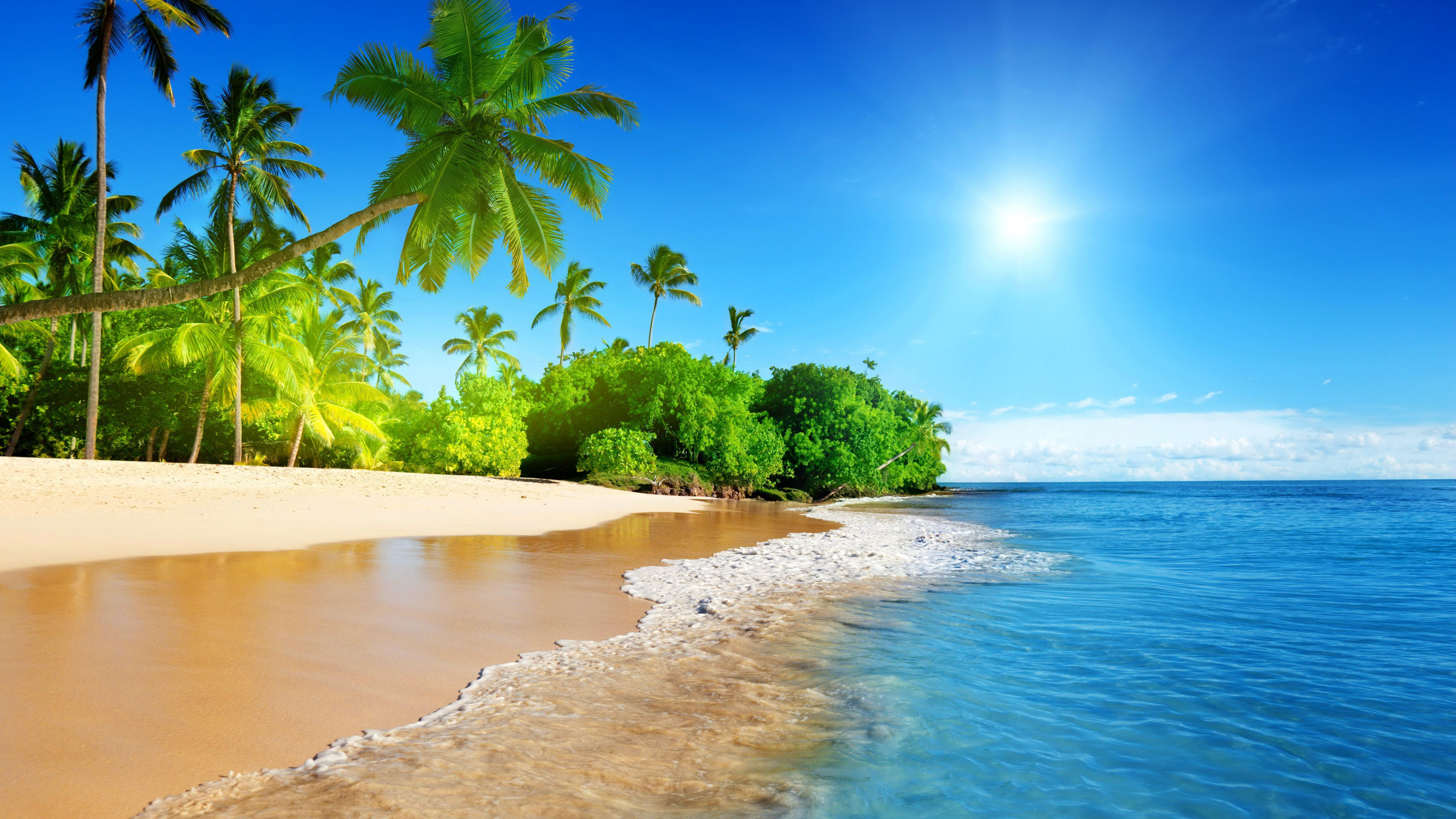 Обои пляж, море, побережье, тропическая зона, берег в разрешении 3840x2160