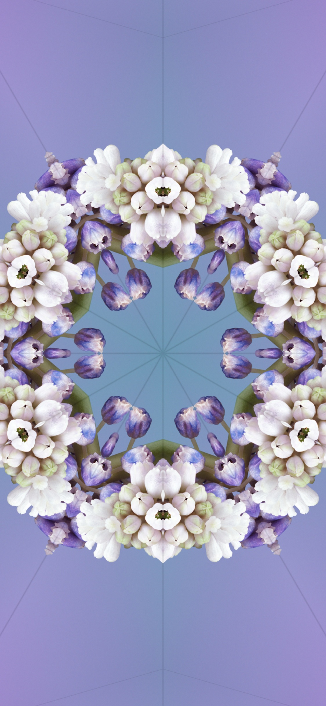 Обои iOS 17, ios 17 алейдоскоп, Эпл, я уточнила, цветок в разрешении 1125x2436