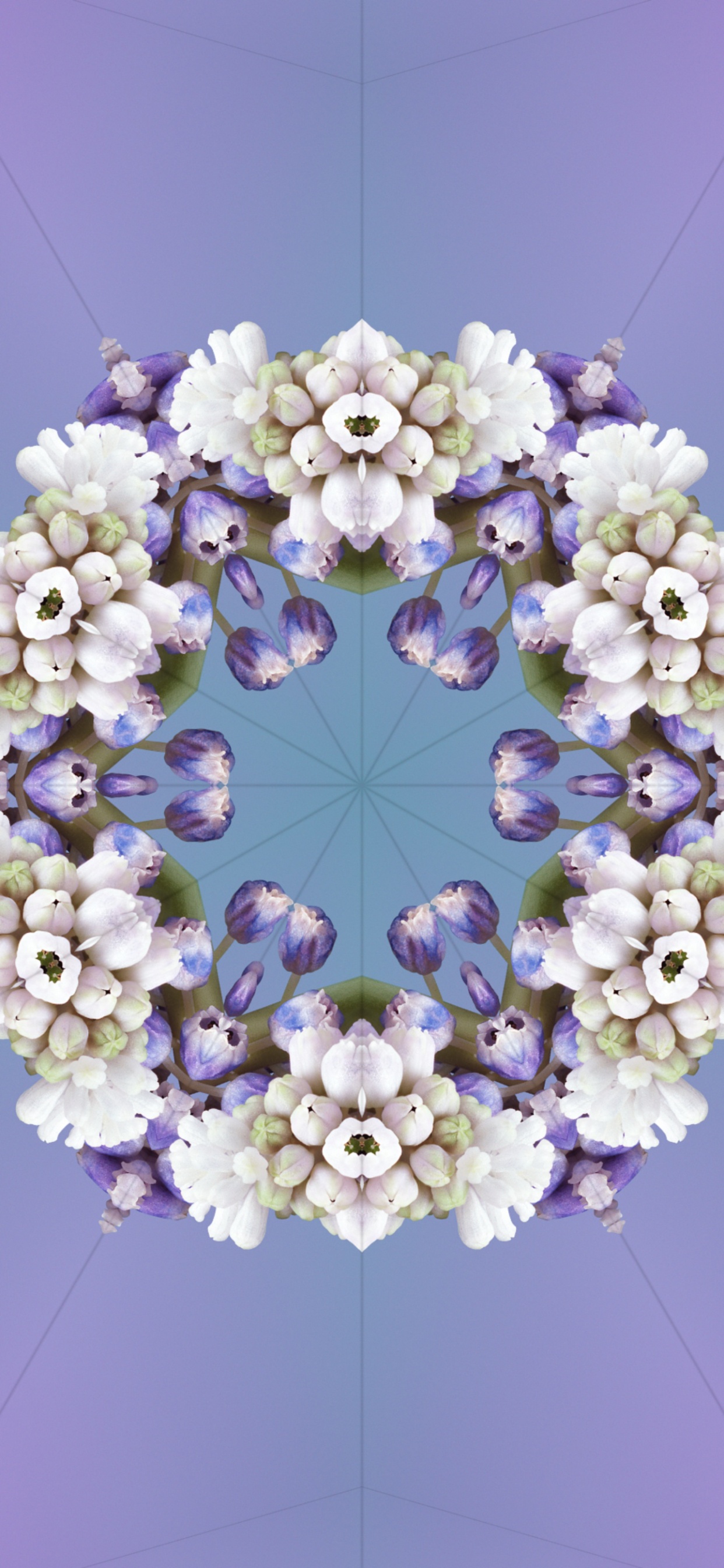 Обои iOS 17, ios 17 алейдоскоп, Эпл, я уточнила, цветок в разрешении 1242x2688