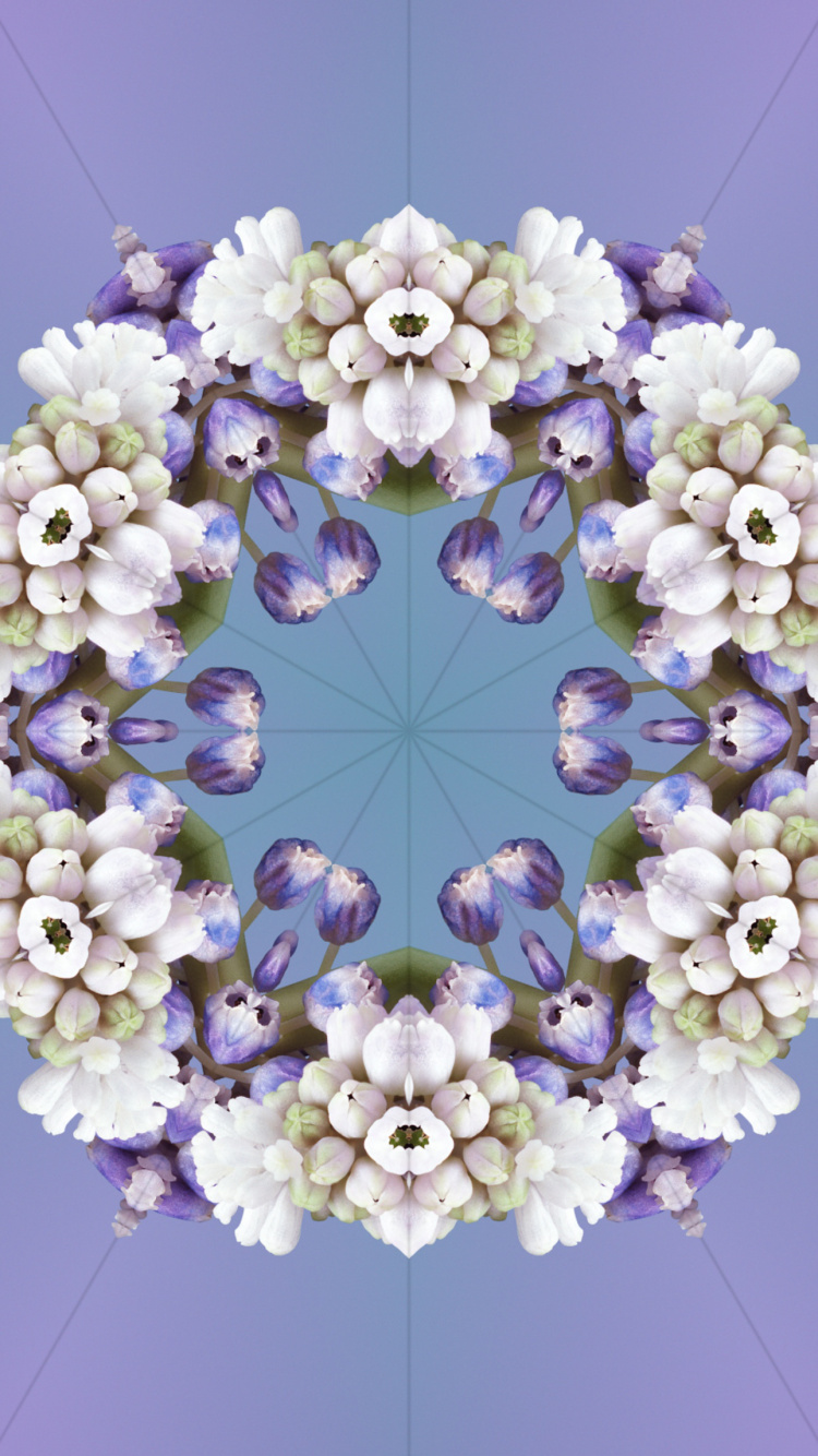 Обои iOS 17, ios 17 алейдоскоп, Эпл, я уточнила, цветок в разрешении 750x1334