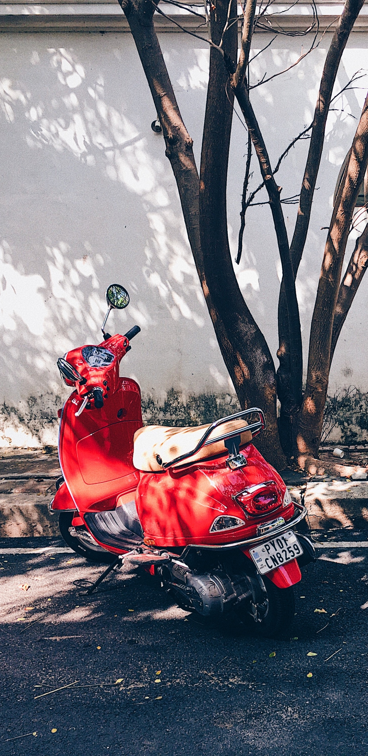Обои Скутер, мопед, мотоцикл, Веспа, красный цвет в разрешении 1440x2960