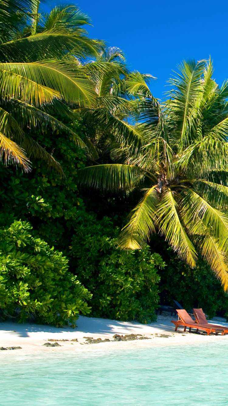 Обои тропическая зона, природа, море, Карибский бассейн, прибрежные и океанические рельефы в разрешении 750x1334