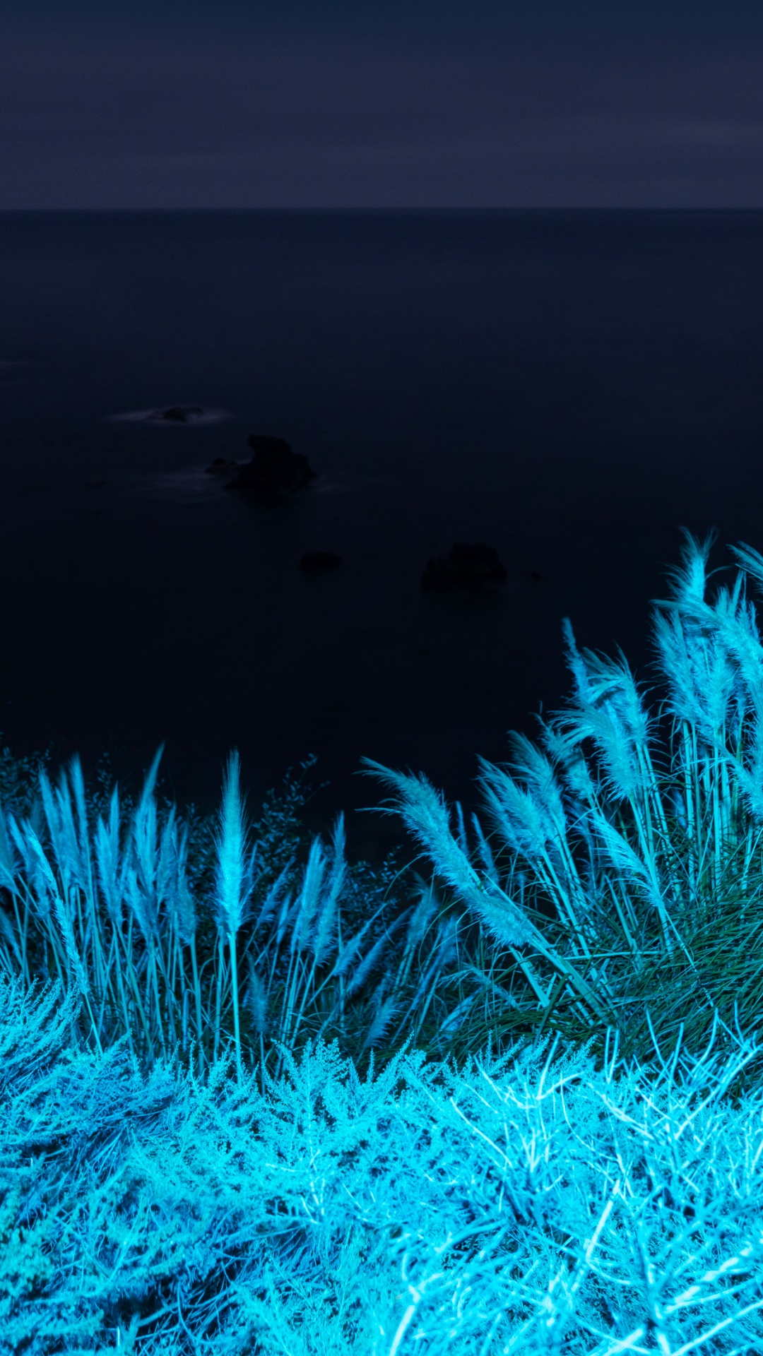 Обои apple, iPhone 12 Pro, iPhone 12 Pro Max, iPhone XS Max, macOS Big Sur в разрешении 1080x1920