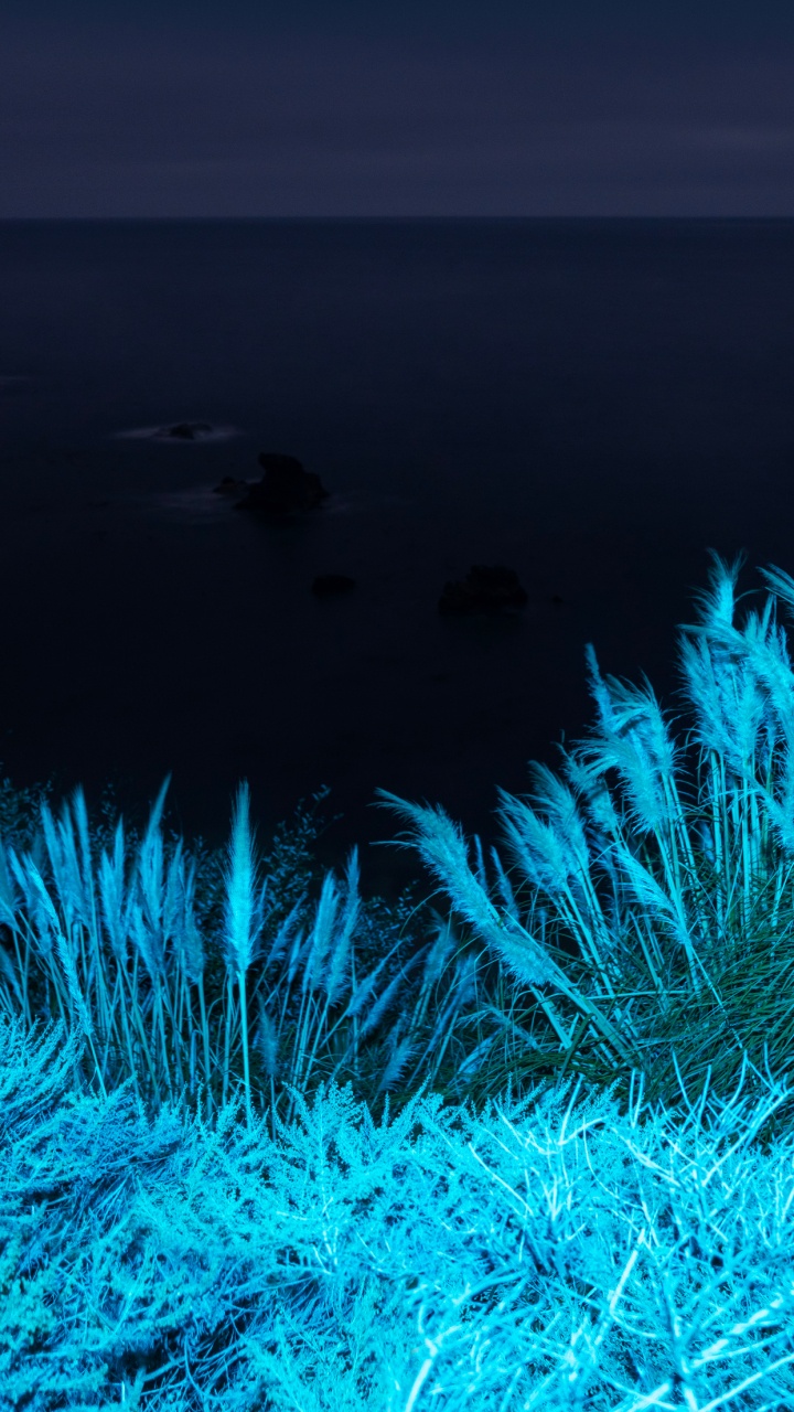 Обои apple, iPhone 12 Pro, iPhone 12 Pro Max, iPhone XS Max, macOS Big Sur в разрешении 720x1280