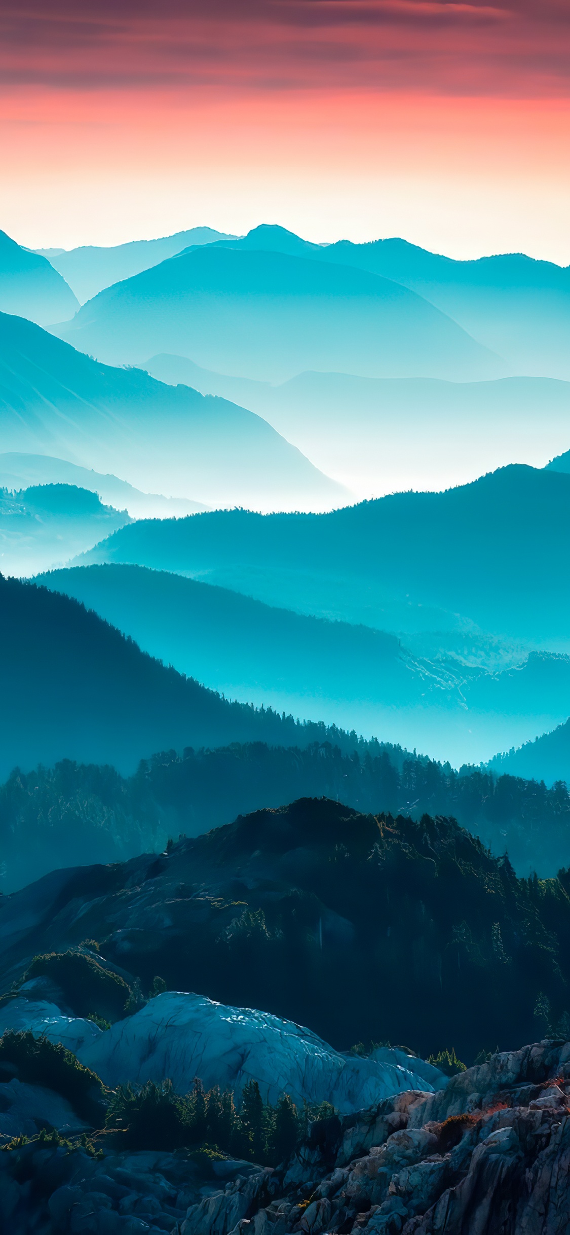 Обои саммит, фэшн, Харперс Базар, Вейбо, 1886 в разрешении 1125x2436