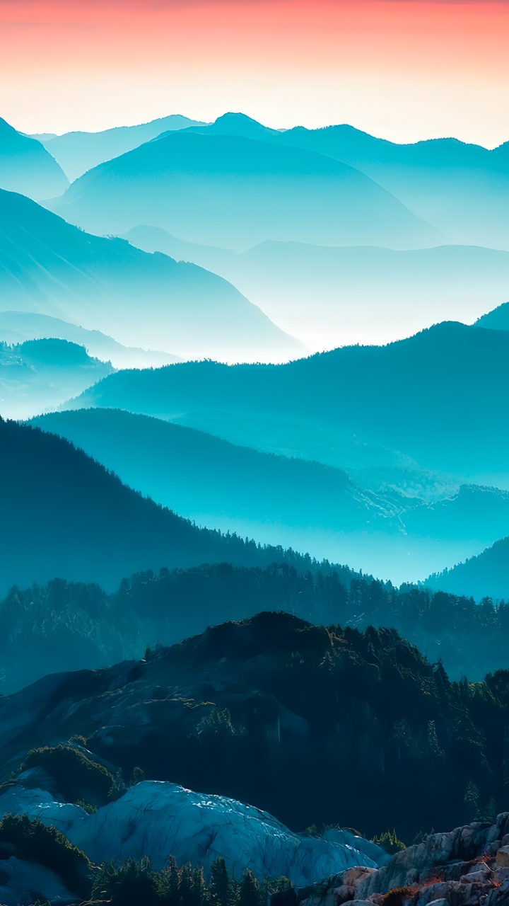 Обои саммит, фэшн, Харперс Базар, Вейбо, 1886 в разрешении 720x1280