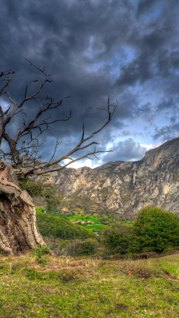 Обои гора, дерево, растительность, облако, дикая местность в разрешении 750x1334