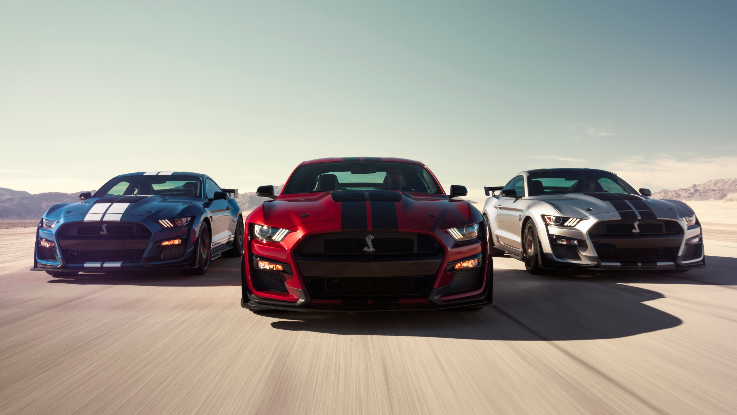 Обои 2020 Форд Мустанг, Шелби Мустанг, ford, авто, спорткар в разрешении 2560x1440