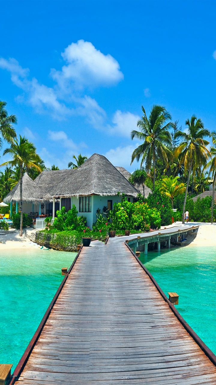 Обои тропическая зона, отпуск, Карибский бассейн, прибежище, прибрежные и океанические рельефы в разрешении 720x1280