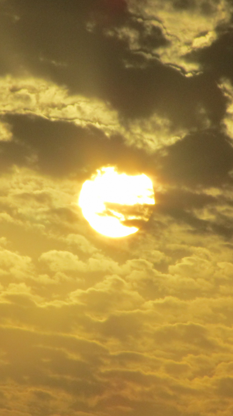 Обои восход солнца, горизонт, утро, солнце, облако в разрешении 750x1334