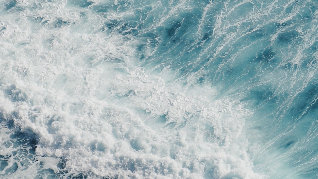 Обои океан, море, коралловый риф, пляж, вода в разрешении 1280x720