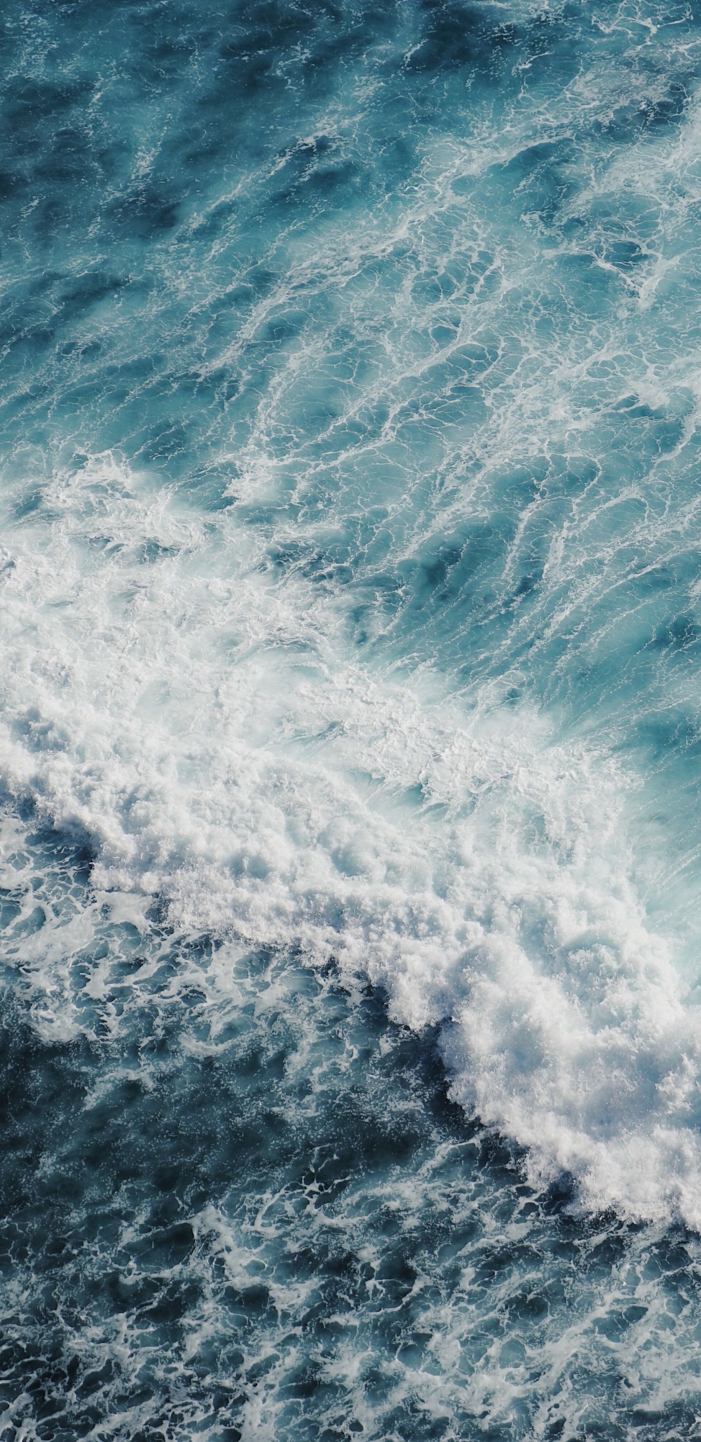 Обои океан, море, коралловый риф, пляж, вода в разрешении 1440x2960