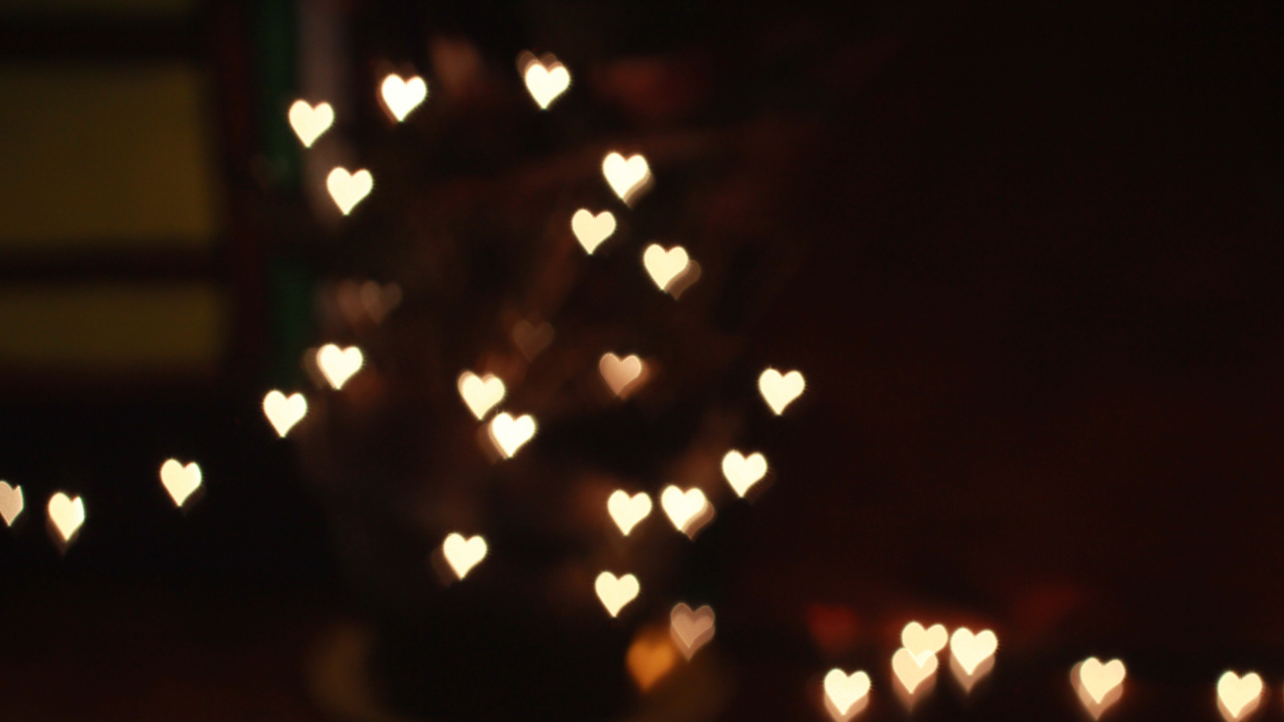 Обои свет, ночь, освещение, темнота, церемония в разрешении 2560x1440