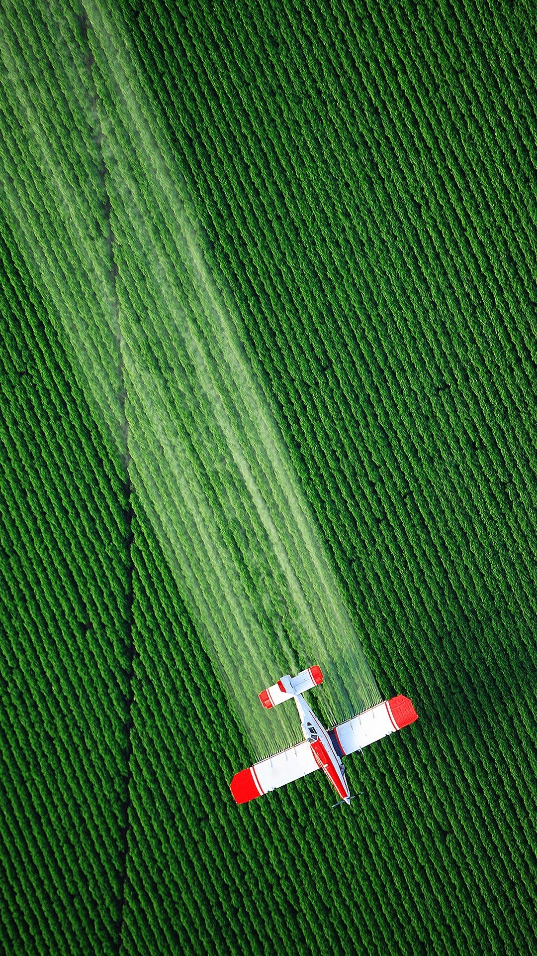 Обои asus, Asus ZenFone, Asus ZenFone 6, asus zenfone max pro m1 zb602kl, fhd в разрешении 1080x1920