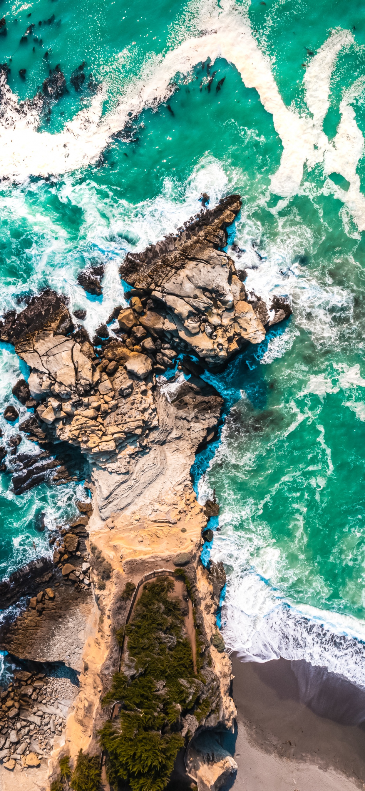 Обои Blackview, андроид, защищенный смартфон, смартфон, телефон в разрешении 1242x2688