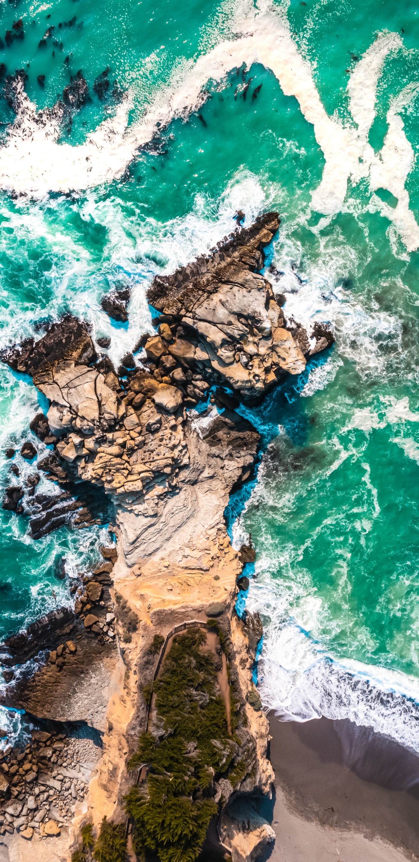 Обои Blackview, андроид, защищенный смартфон, смартфон, телефон в разрешении 1440x2960