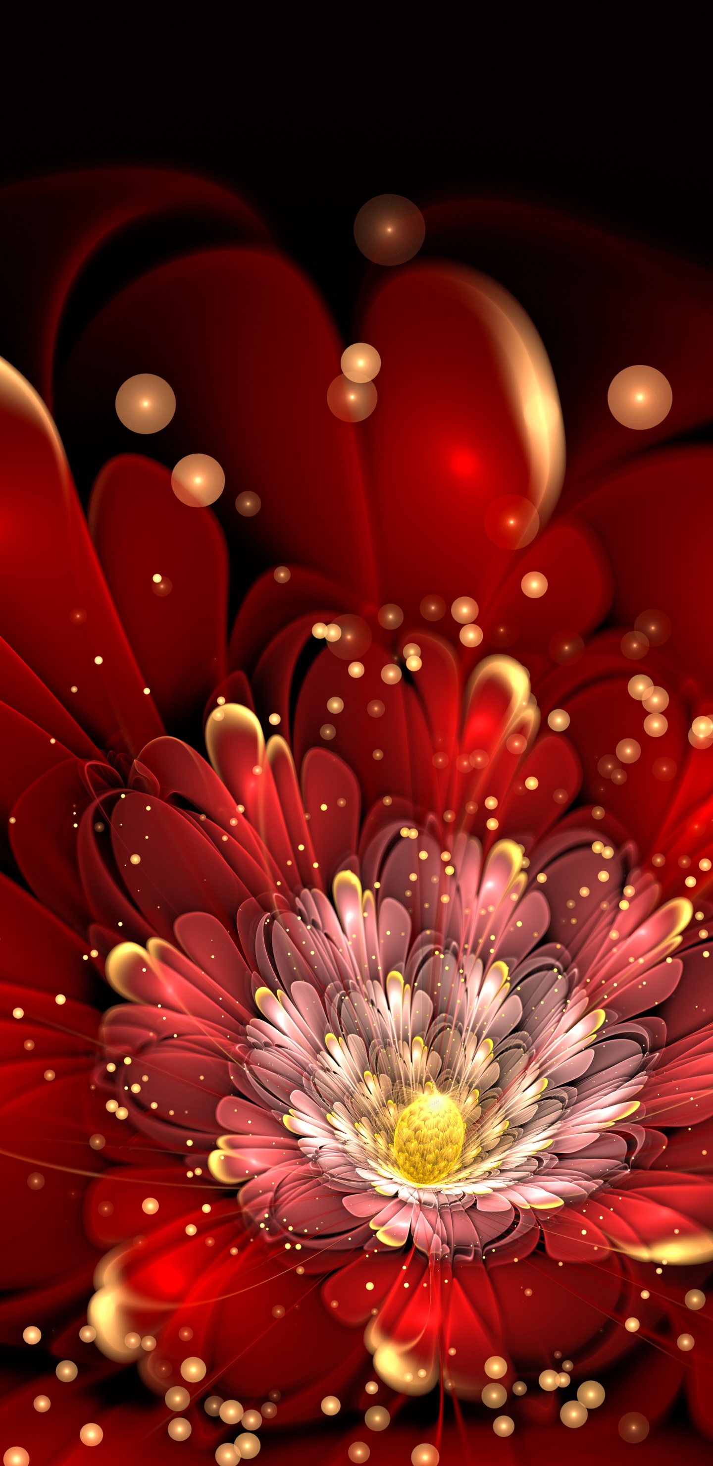 Обои цветок, фрактал, красный цвет, лепесток, сердце в разрешении 1440x2960