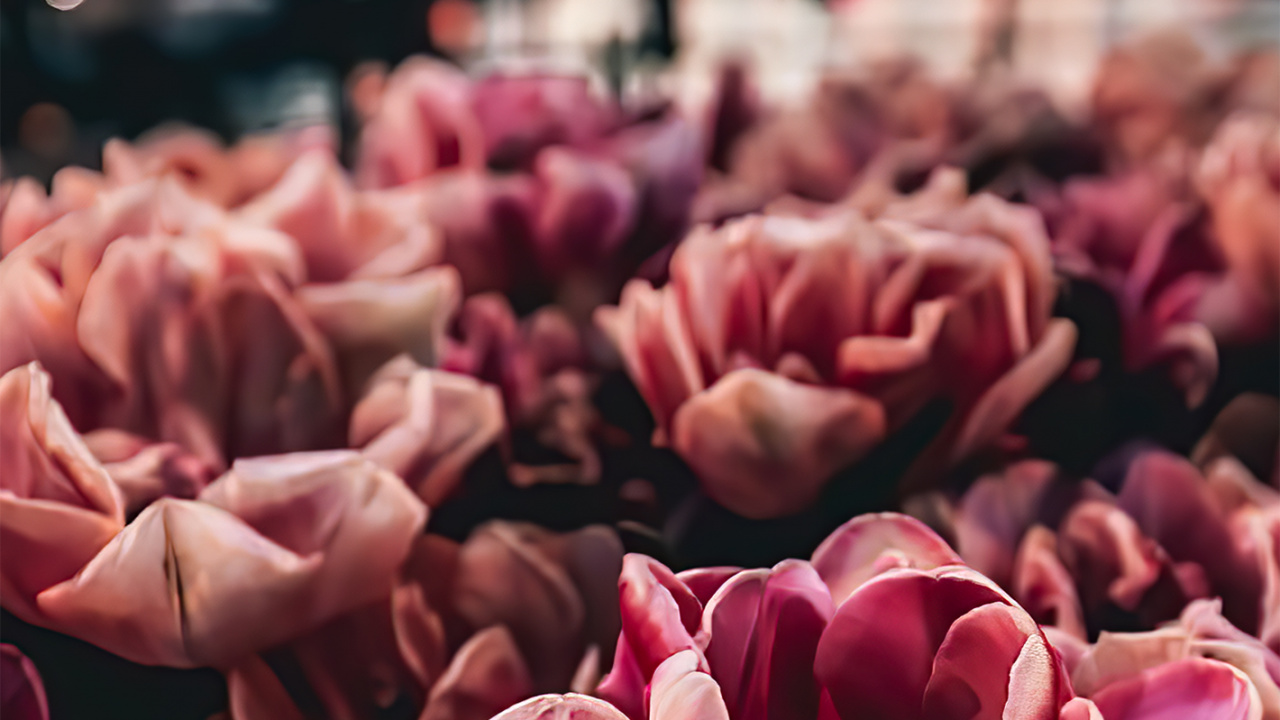 Обои пятница, дизайн, Счастливой пятницы, архитектура, арт в разрешении 1280x720