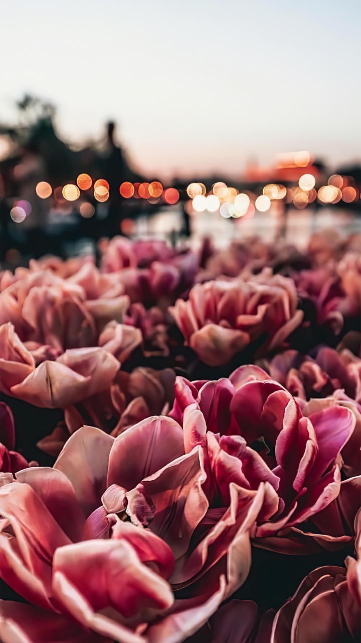 Обои пятница, дизайн, Счастливой пятницы, архитектура, арт в разрешении 720x1280