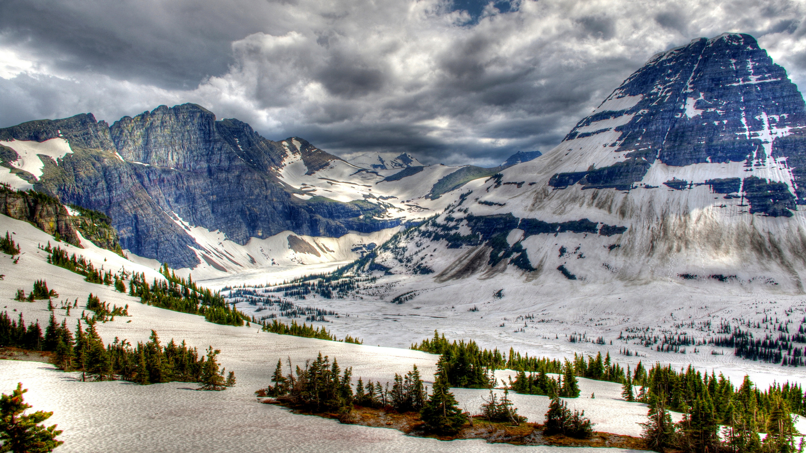 Обои национальный парк глейшер, банфф, национальный парк, парк, горный рельеф в разрешении 2560x1440
