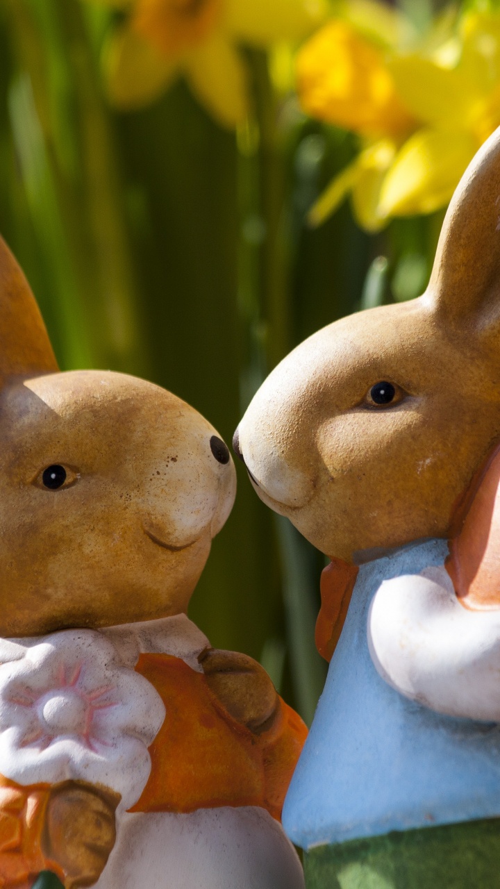 Обои пасхальный кролик, яйцо охоты, пасхальное яйцо, кролик, Кролики и зайцы в разрешении 720x1280