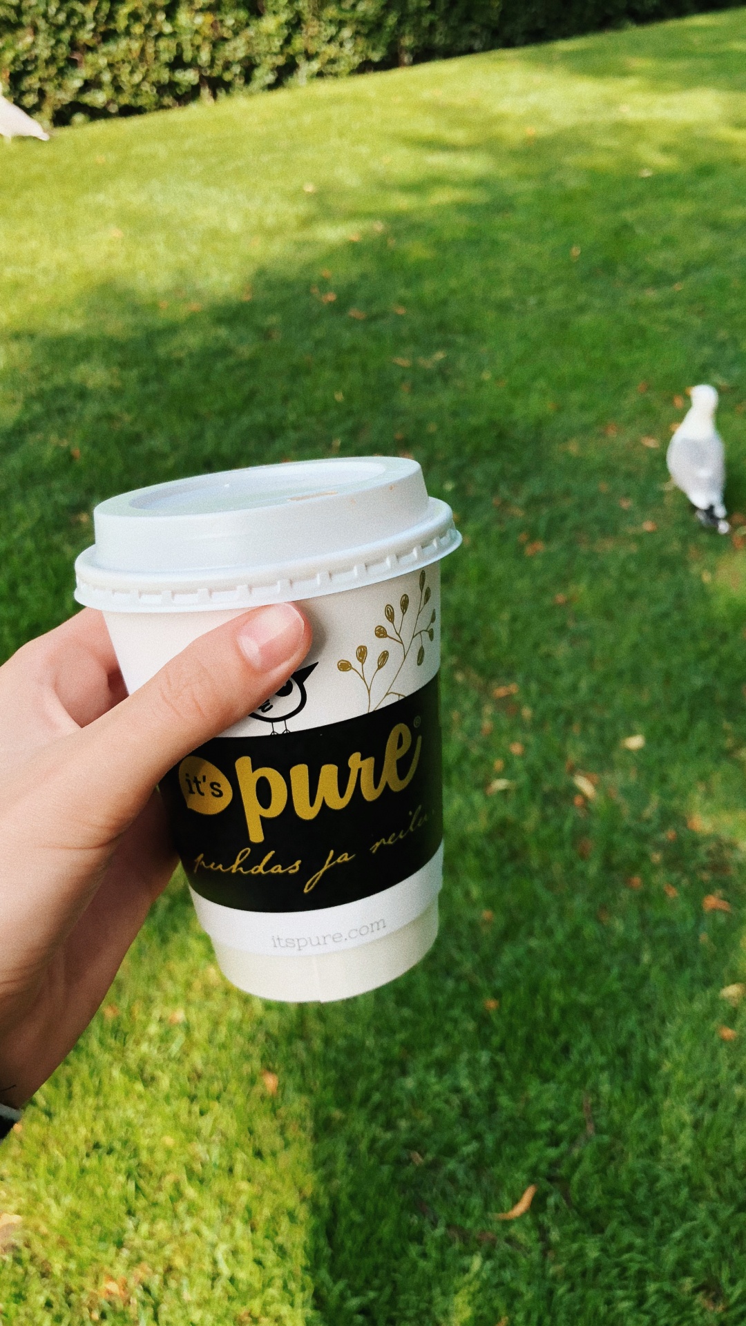 Обои чашка кофе рукав, лого, чашка, крышка, почвопокровная в разрешении 1080x1920