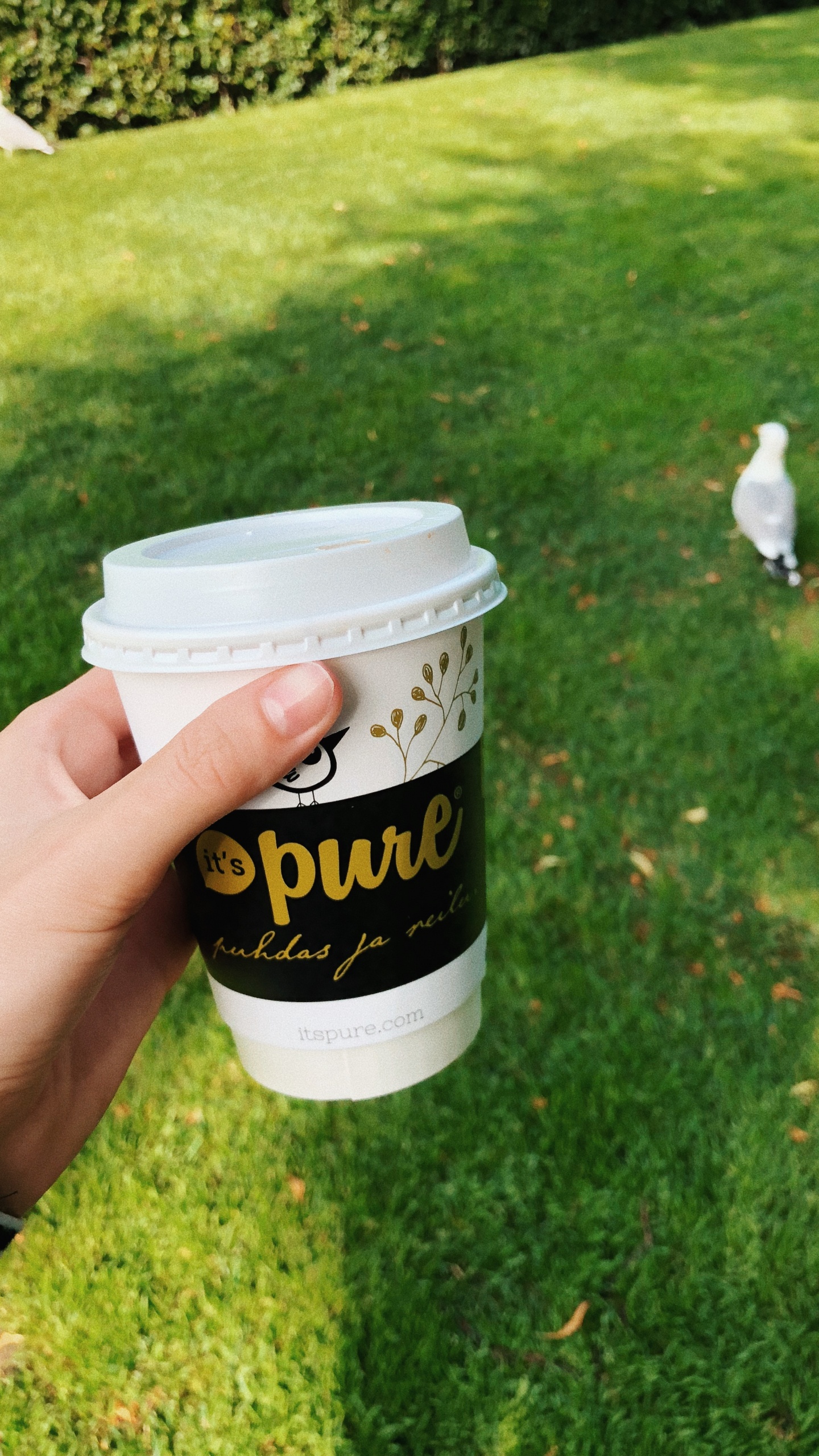 Обои чашка кофе рукав, лого, чашка, крышка, почвопокровная в разрешении 1440x2560