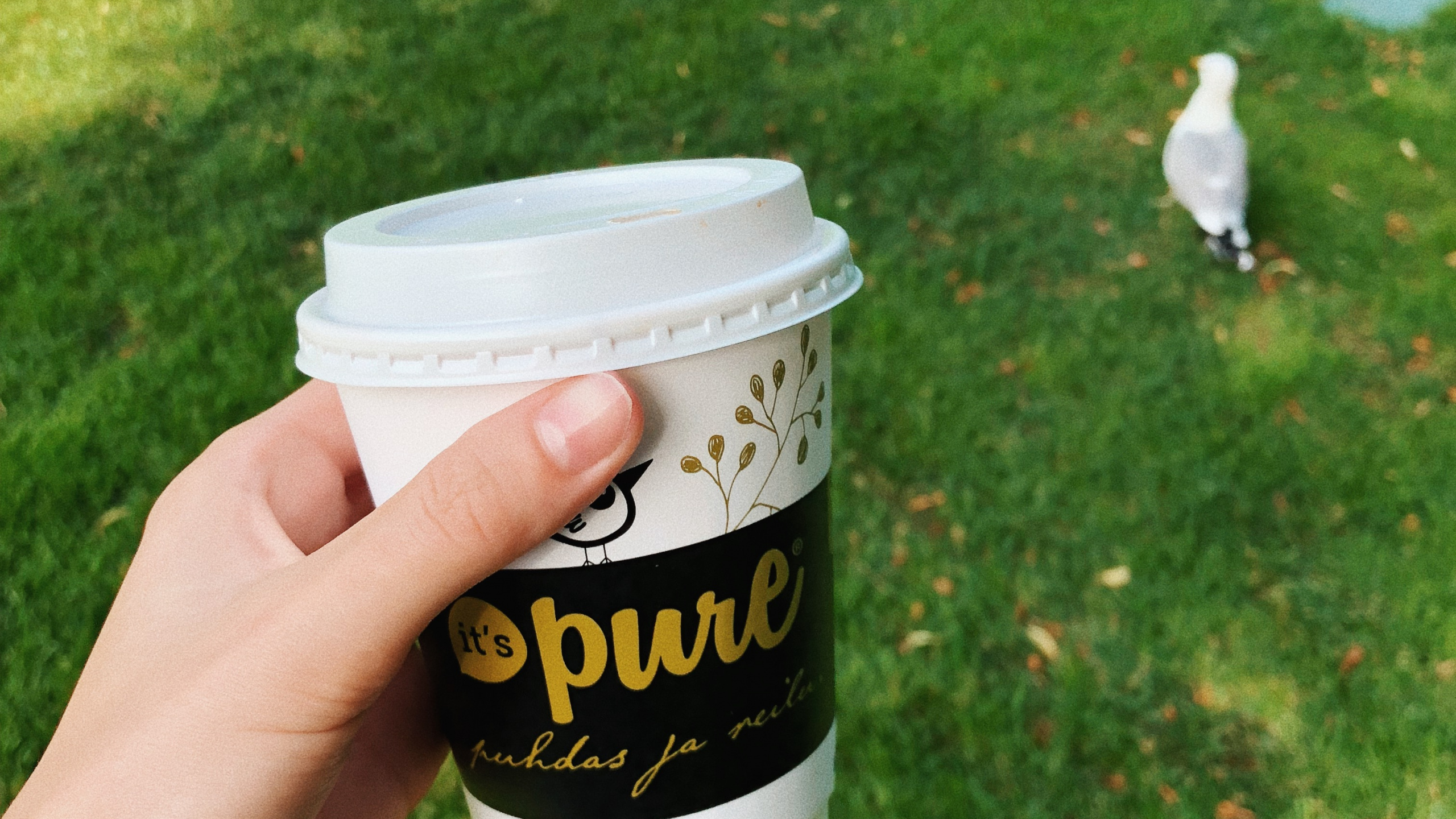 Обои чашка кофе рукав, лого, чашка, крышка, почвопокровная в разрешении 2560x1440