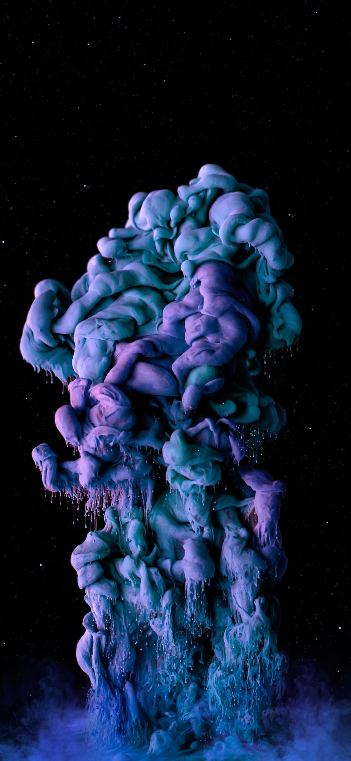 Обои жидкий, зеленый, пурпур, лепесток, морская биология в разрешении 1125x2436