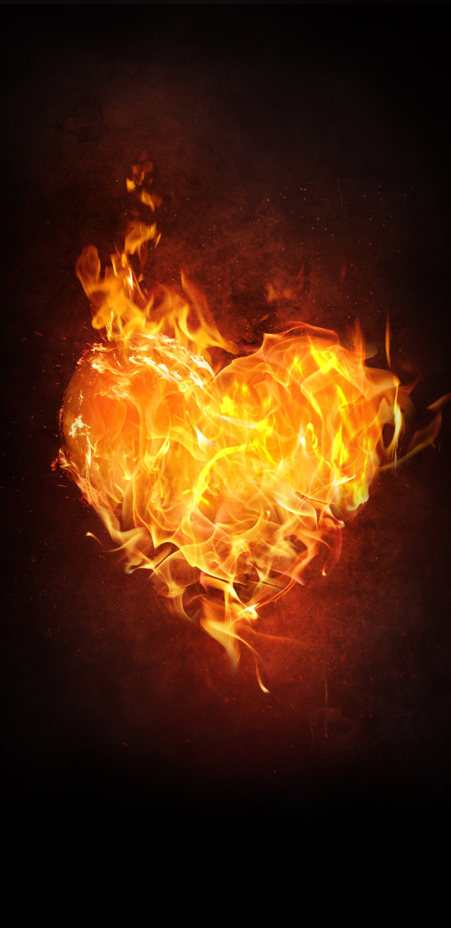 Обои пламя, огонь, сердце, тепло, Апельсин в разрешении 1440x2960