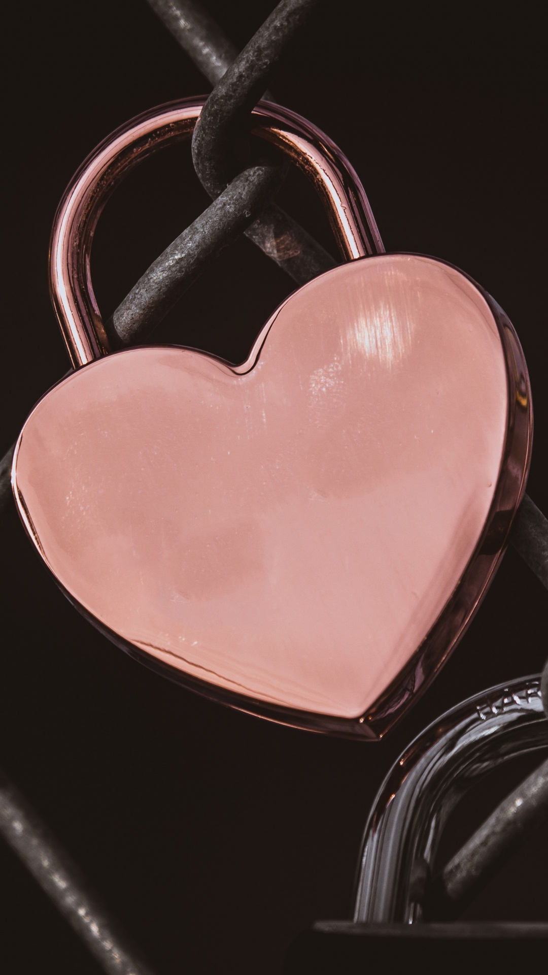 Обои сердце, розовый, любовь, орган, человеческое тело в разрешении 1080x1920