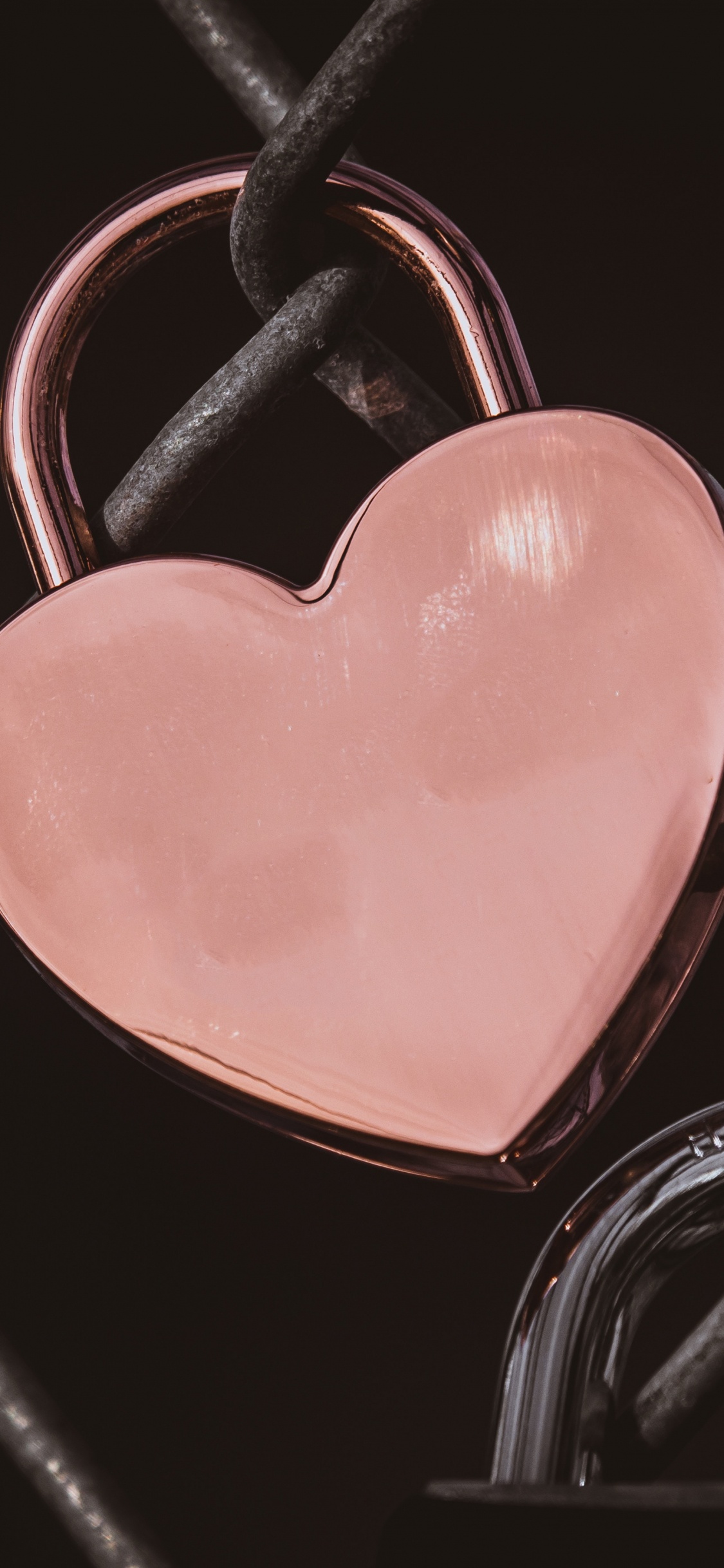 Обои сердце, розовый, любовь, орган, человеческое тело в разрешении 1125x2436