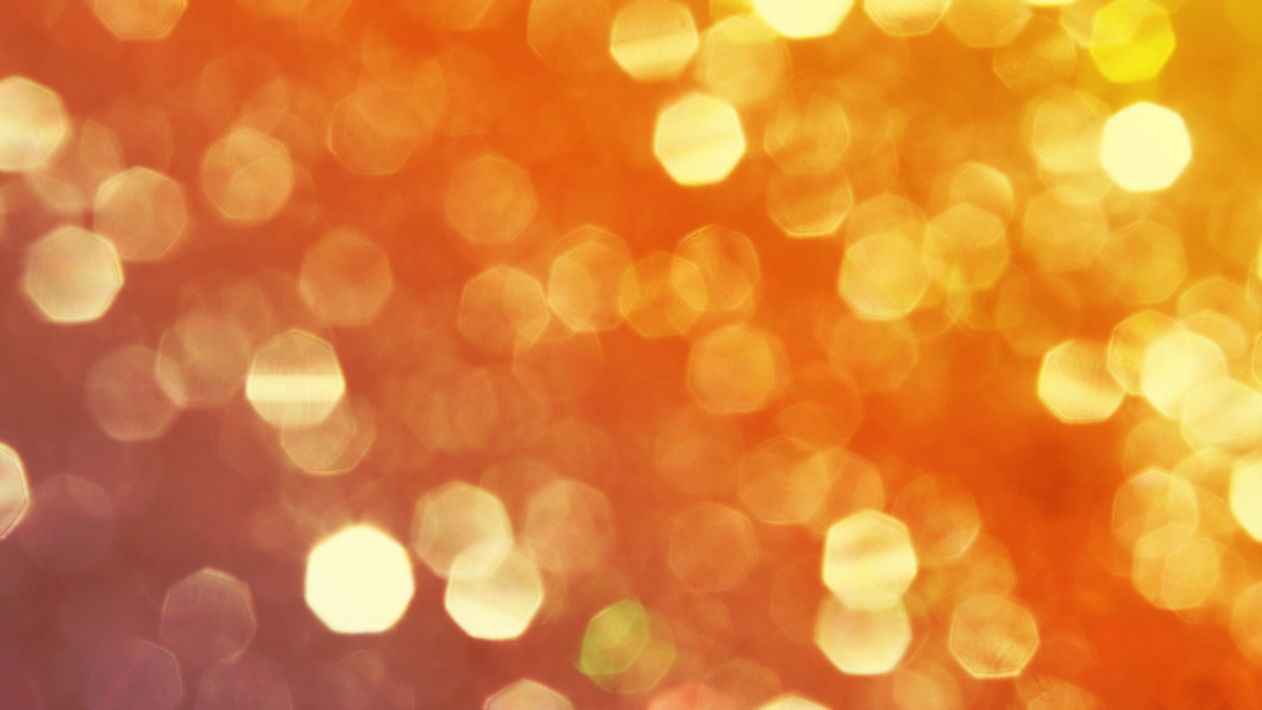 Обои Апельсин, желтый, свет, солнечный свет, Родился чтобы поклоняться в разрешении 2560x1440