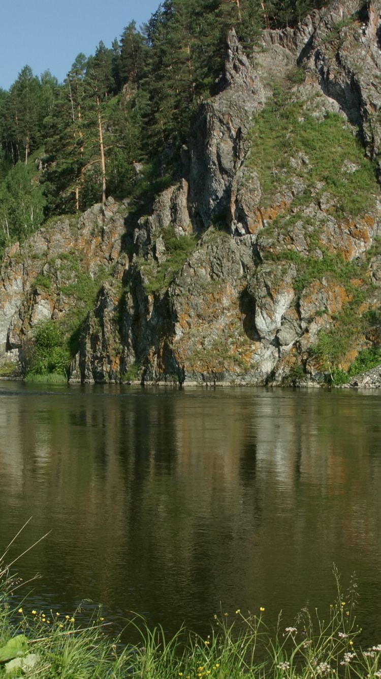 Обои природа, водоем, природный заповедник, вода, растительность в разрешении 750x1334