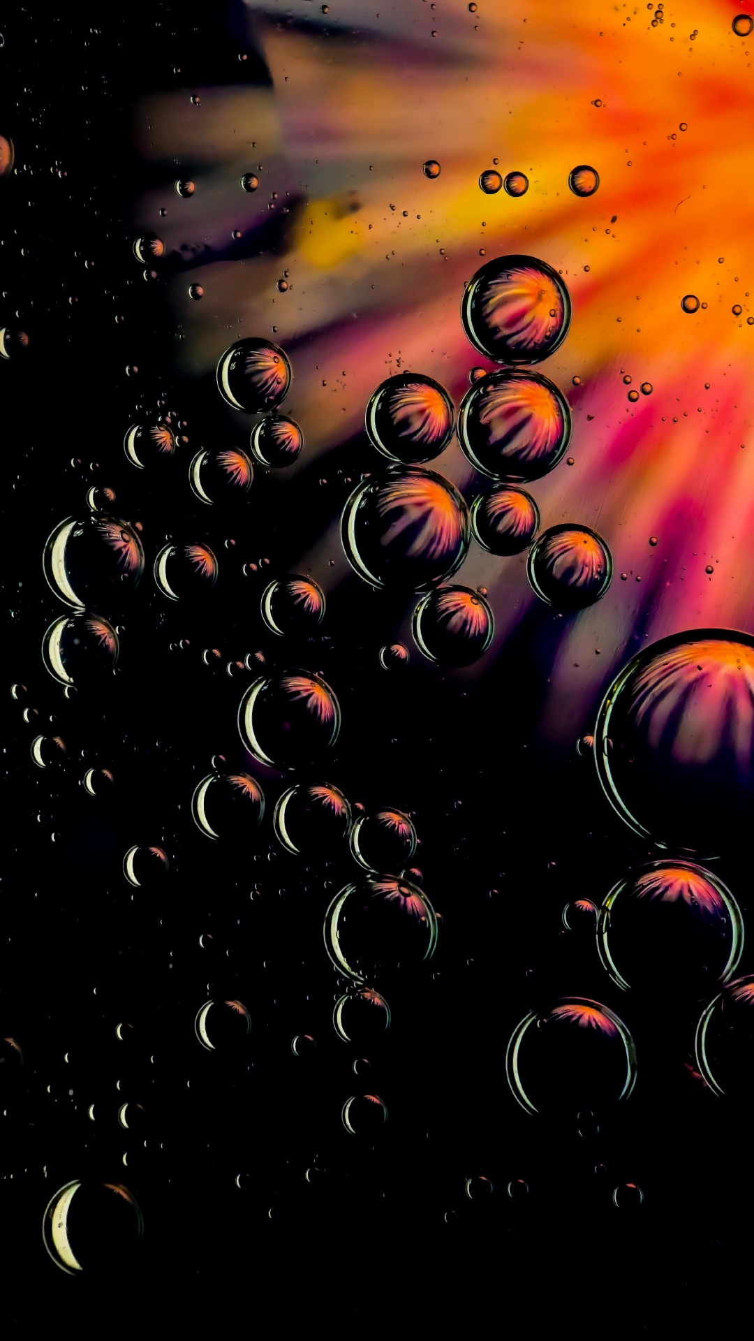 Обои вода, жидкий, арт, растение, узор в разрешении 1080x1920