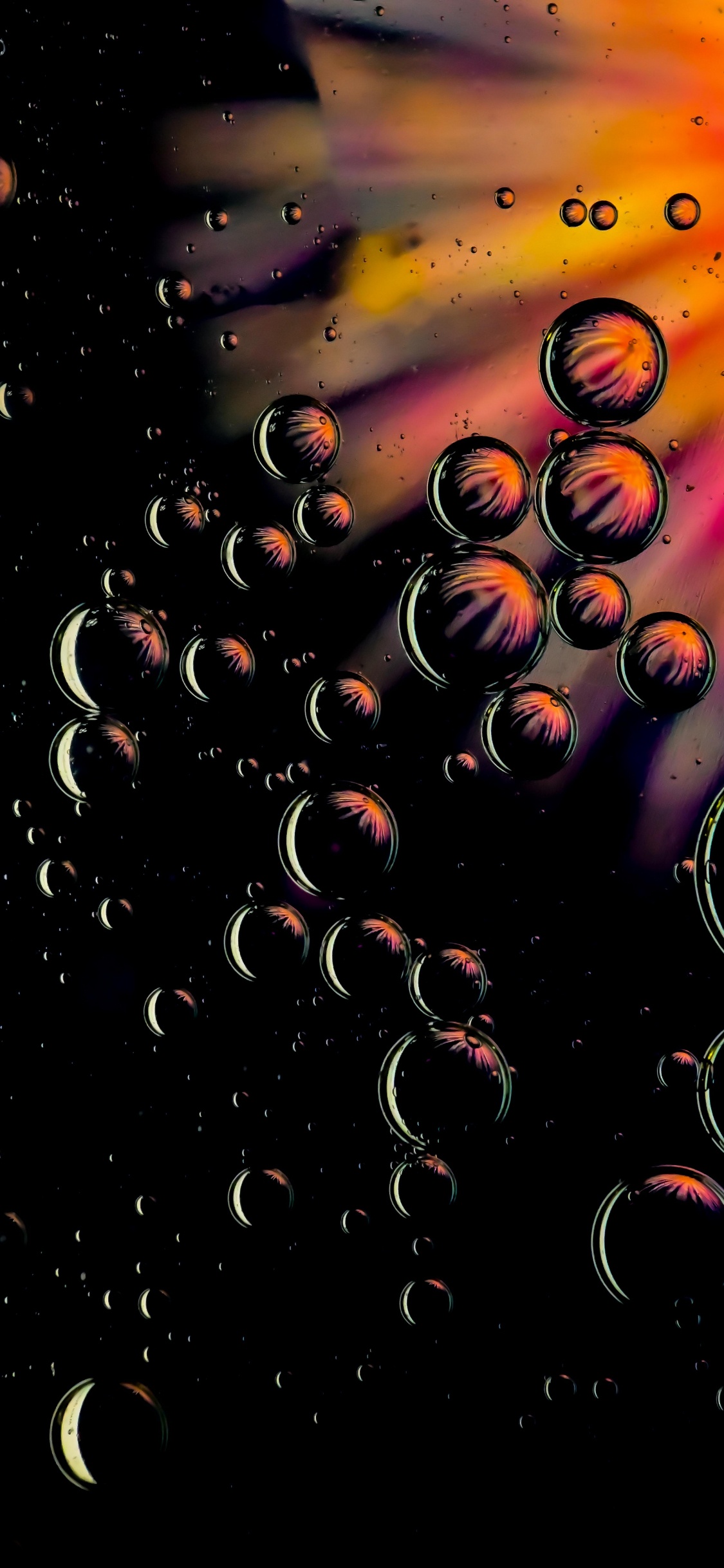 Обои вода, жидкий, арт, растение, узор в разрешении 1125x2436