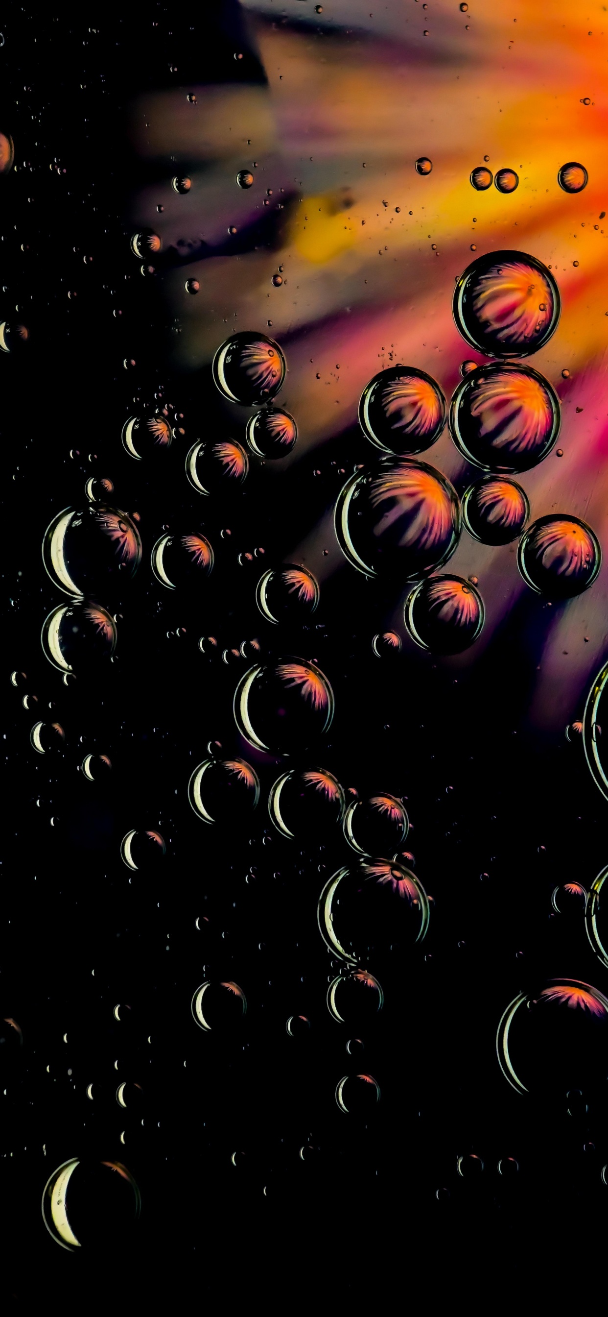 Обои вода, жидкий, арт, растение, узор в разрешении 1242x2688