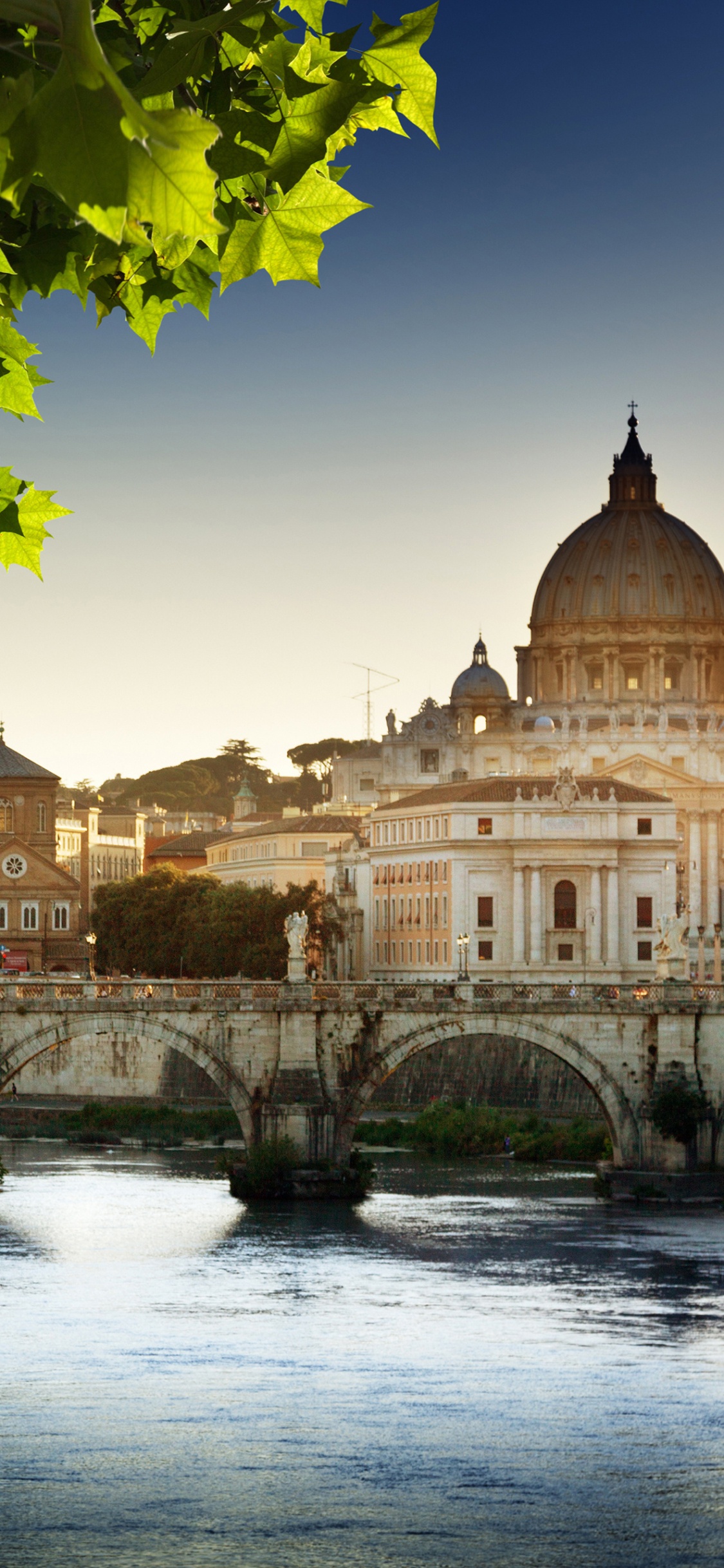 Обои Собор Св Петра, базилика, ориентир, отражение, город в разрешении 1125x2436