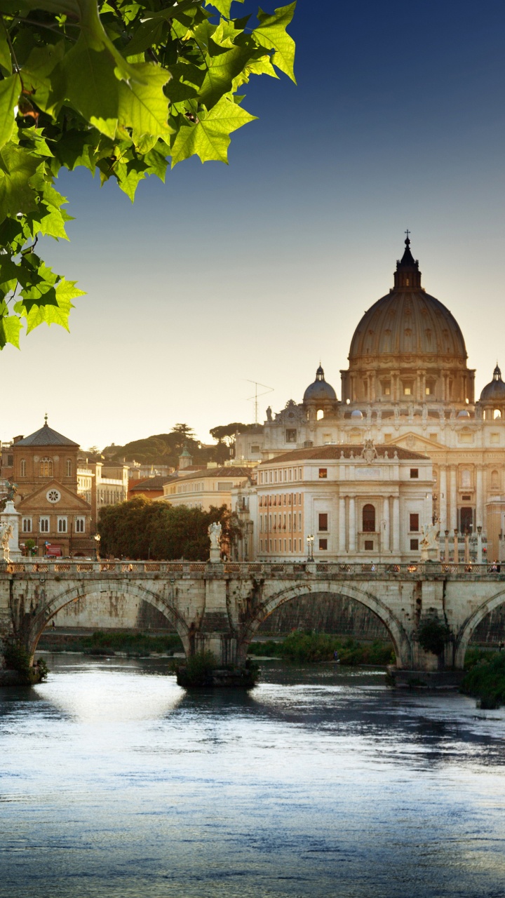 Обои Собор Св Петра, базилика, ориентир, отражение, город в разрешении 720x1280