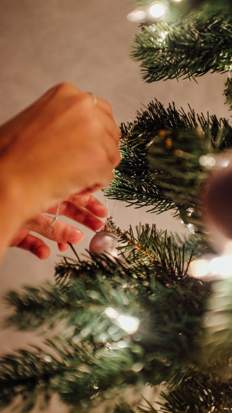 Обои Рождественский день, елка, дерево, Рождество, рождественский орнамент в разрешении 750x1334