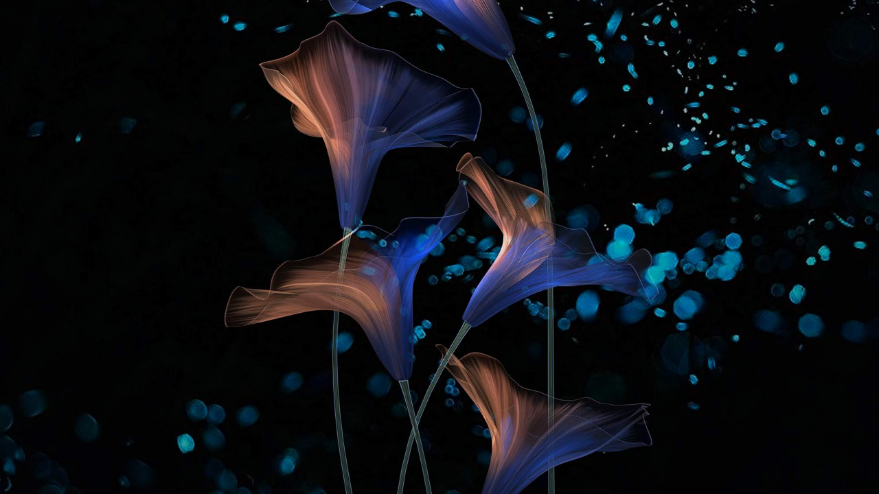 Обои Huawei, Honor Magic 2, красочный красивый волшебный, huawei honor, темнота в разрешении 1280x720