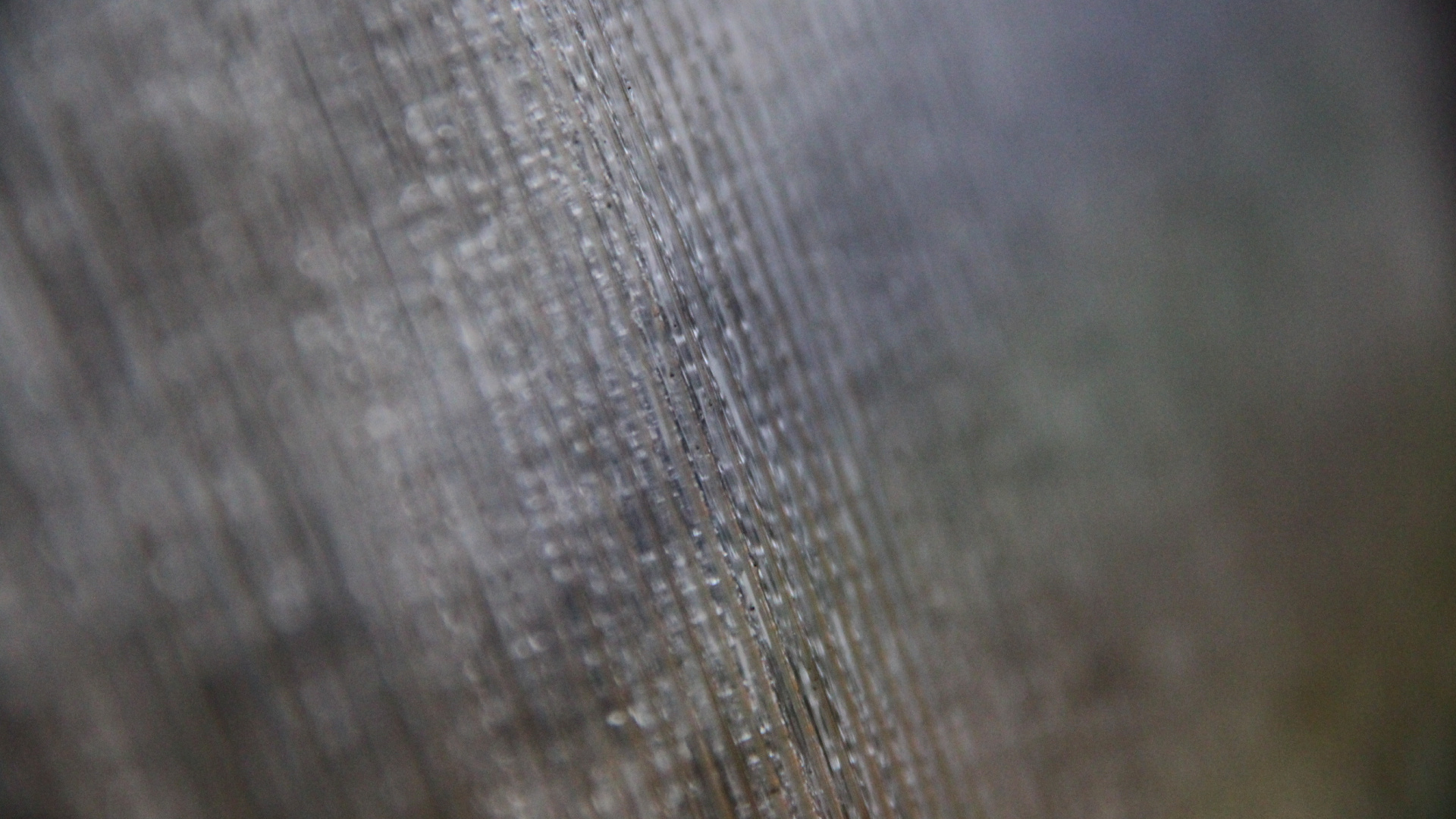 Обои крупный план, древесина, художественный музей, серый цвет, текстура в разрешении 1920x1080